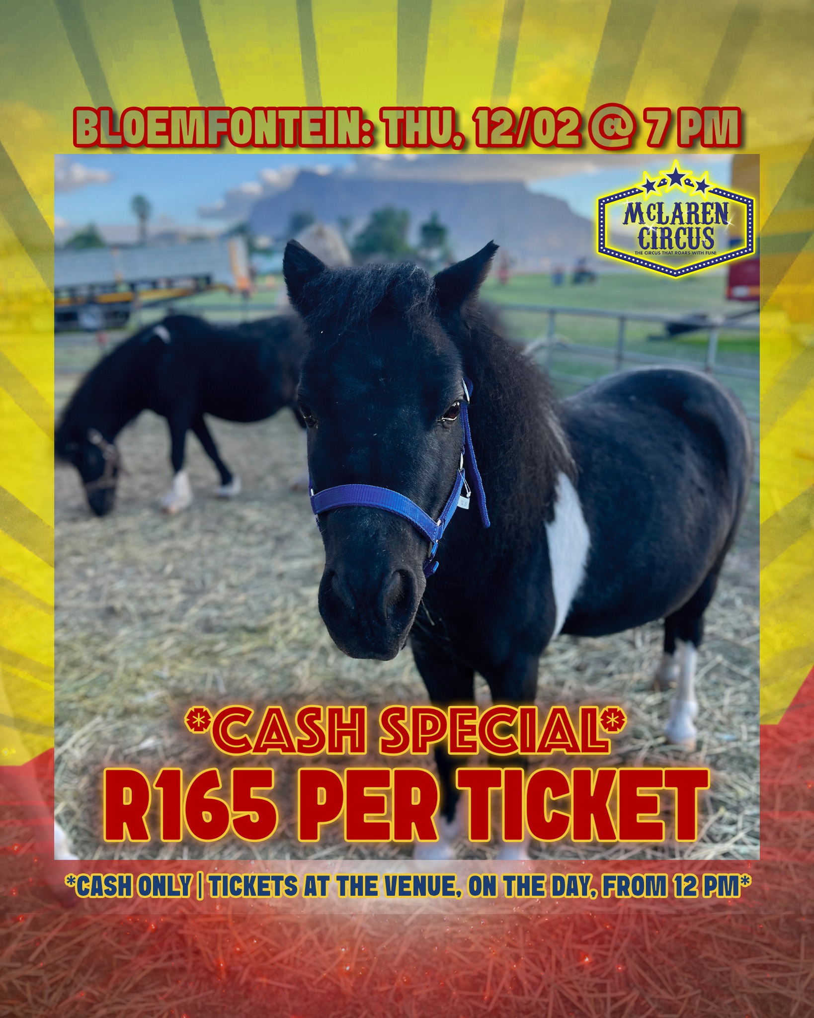 🤹♂️ SPECIAL: Any seat, only R165 each! 🎟️✨
🎪 Step right up to the greatest show in #Africa!
Only valid:
📅 Thu, 12 Feb 2026 @ 7 PM - #BLOEMFONTEIN
🎟️ Hurry, these seats are unreserved and sell fast! Tickets are CASH ONLY and are available, at our ticket office, from 12 PM on the show day.