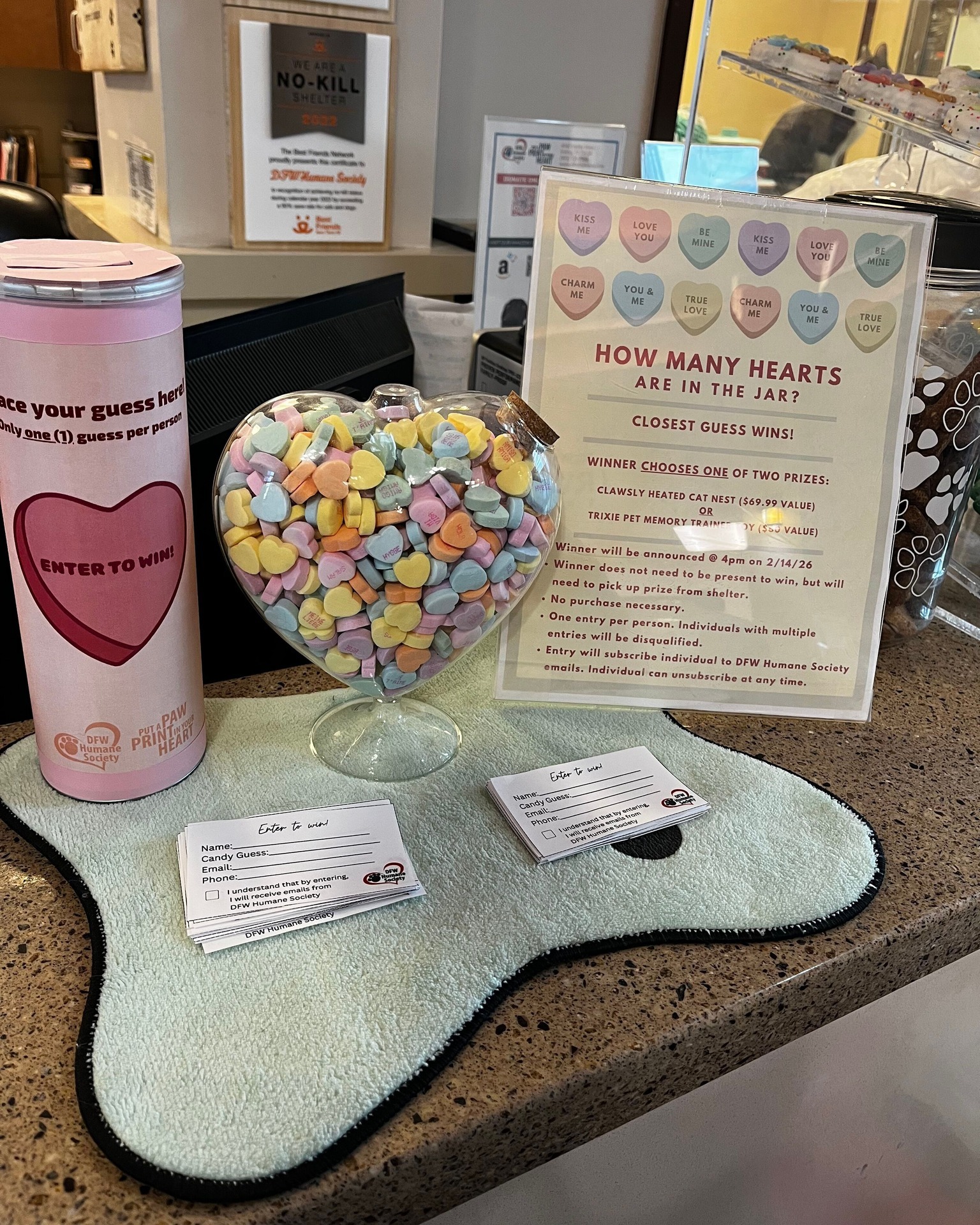 💕 It's Valentine’s Contest Time! 💕 Think you’ve got a good eye? Guess how many candy hearts are in the jar for a chance to win either a heated pet nest or a pet memory training game!
Stop by the shelter to enter. Winner will be announced Saturday 2/14 at 4pm. Closest guess takes the prize. 🍬
📍 4140 Valley View Lane, Irving, TX 75038
🕐 Hours: Tues–Fri 11am–6pm | Sat 10am–5pm