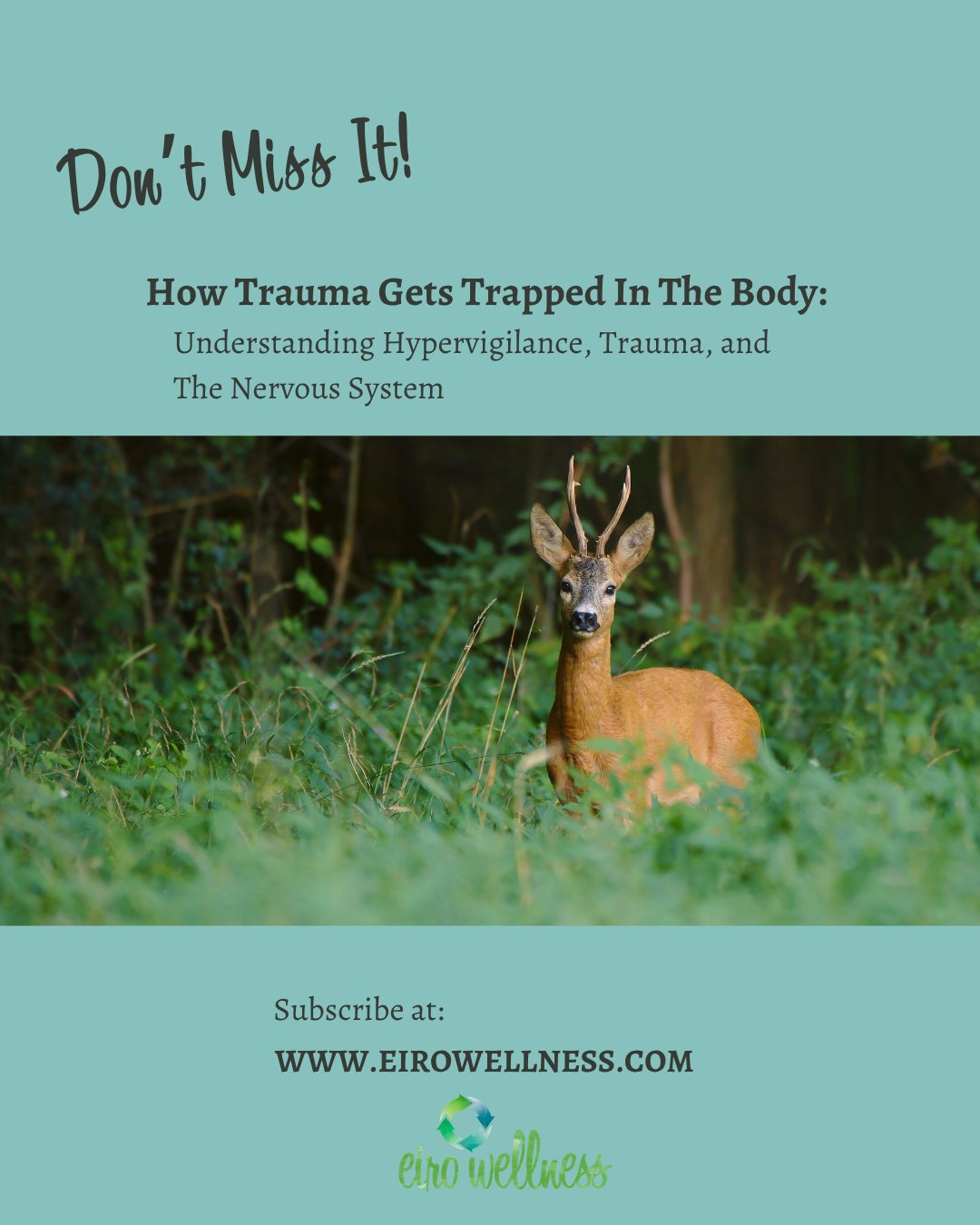 Anxiety. Fatigue. Always braced for something. It feels like your body is failing you. It’s not. It’s your nervous system that has learned to survive.
New email tomorrow on why trauma gets trapped in the body — and what it actually takes to heal. Link in bio to get it sent straight to your inbox.
Don’t miss it!
#eirowellness #trauma #anxiety #fatigue #overwhelm #hypervigilence #nervoussystem #dysregulatednervoussystem #nervoussystemhealing