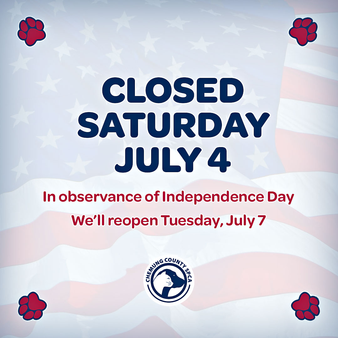 Closed for the holiday ? We'll be closed this Saturday, July 4 for Independence Day. We'll see you back Tuesday, July 7. Enjoy the long weekend!