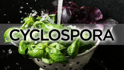 Cyclospora Cases Are Increasing!
Cyclospora infections are occurring across the United States with at least 35 cases reported by the Arkansas Department of Health on Friday. This parasite is most often spread through contaminated fresh fruits and vegetables and can cause symptoms that last for weeks if left untreated.
Common symptoms include:
- Watery diarrhea
- Stomach cramps
- Bloating
- Nausea
- Fatigue
- Loss of appetite and weight loss
If you've had diarrhea lasting more than a few days, especially after eating fresh produce or recent travel, contact your healthcare provider. Cyclospora can usually be treated effectively with a prescription antibiotic.
You may see information online about curcumin (turmeric) as well. A recent animal study suggested it may help reduce intestinal inflammation caused by Cyclospora. This preliminary data is promising, but has not yet been proven effective in people and should not be used as a replacement for medical treatment with an antibiotic.
If you have questions about your symptoms or medications, stop by and speak with one of our pharmacists - we're here to help!
#collierdrugstores #cyclospora