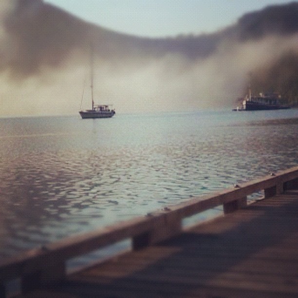 The fog rolls in to Hot Springs Cove 2010