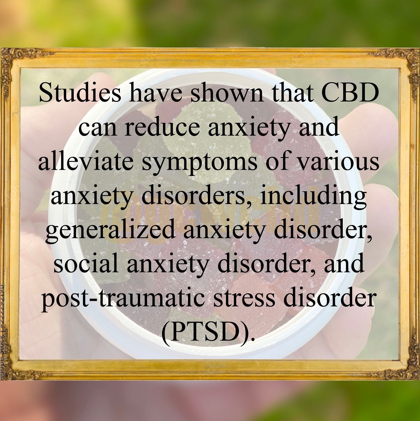 How much do you know about CBD? Checkout this fact!
#cbd #cbdfacts #fact #learn