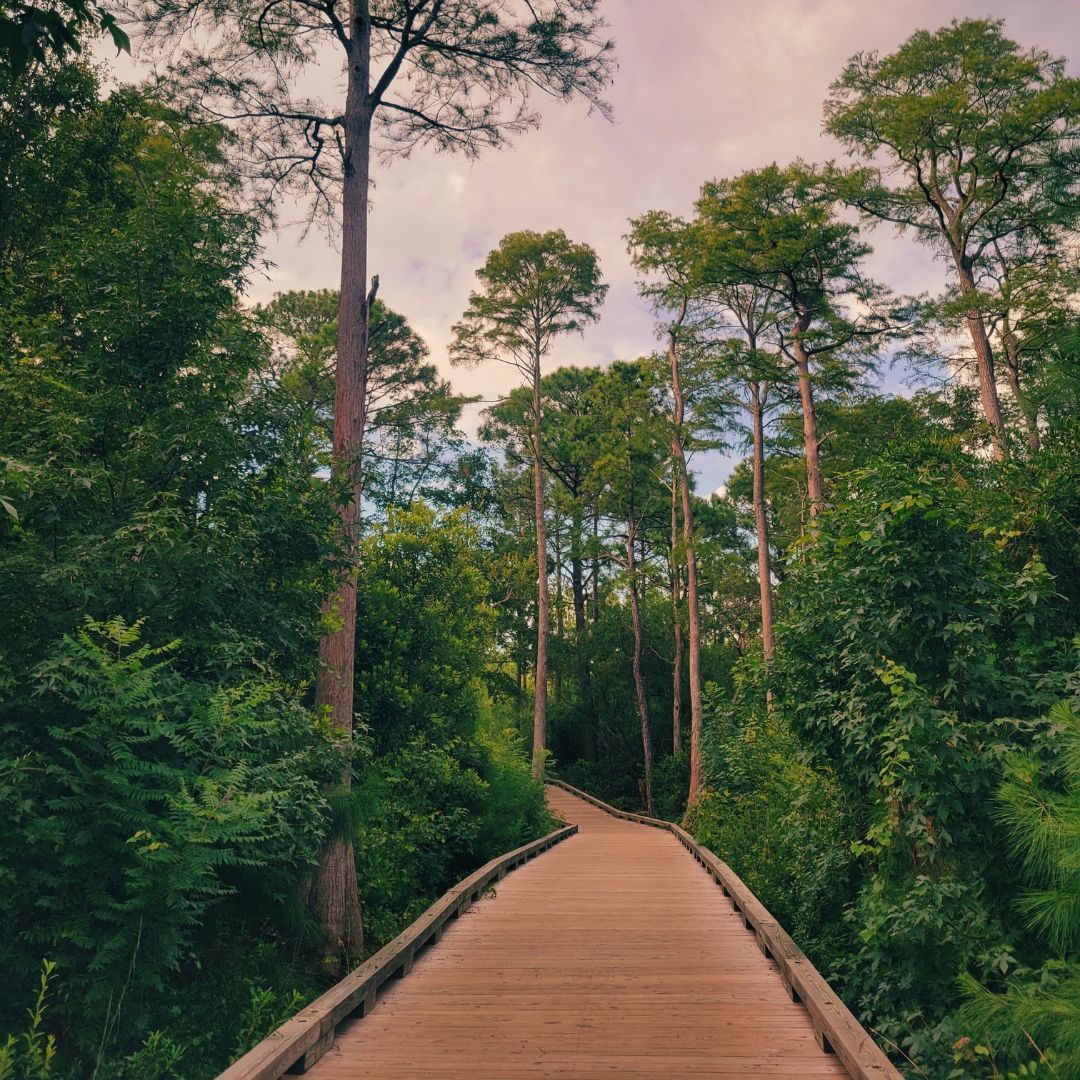 Feeling frazzled mid-week? If I'm a little too in-my-head, it's an indicator that I need to spend time reconnecting with nature.
I can highly recommend a nature walk - go somewhere in your town or city; you don't have to go far to find nature.
If you find that you're struggling to find any moments of 'awe' while in nature, focus on slowing down. Slow down the pace of your steps, and slow down the pace of your thoughts.
1. Start with 3 deep breaths.
2. Walk slowly, feeling the toe, ball, heel of your feet with each step.
3. Notice 5 things you can see, 4 things you can hear, 3 things you can feel, 2 things you can smell and 1 thing you can taste.
4. Express gratitude for the moment - gratitude to yourself and to Mother Earth.
5. Pause to appreciate the beauty that is all around you.
I hope you have a magical day.