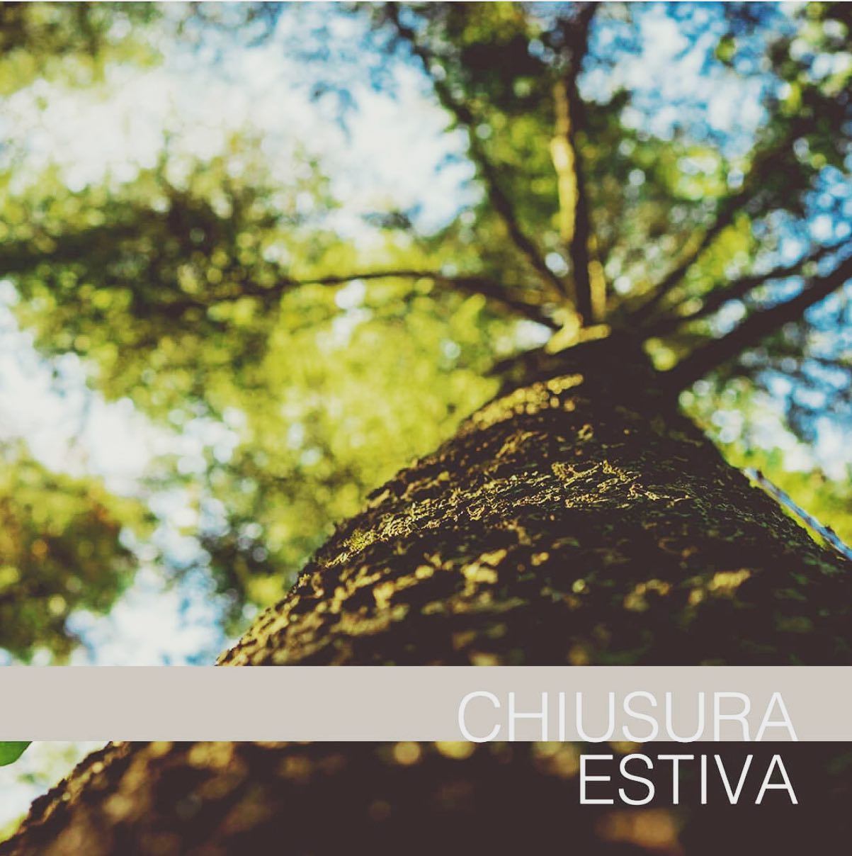 Buone vacanze a tutti ?? Ci rivediamo il 26 agosto