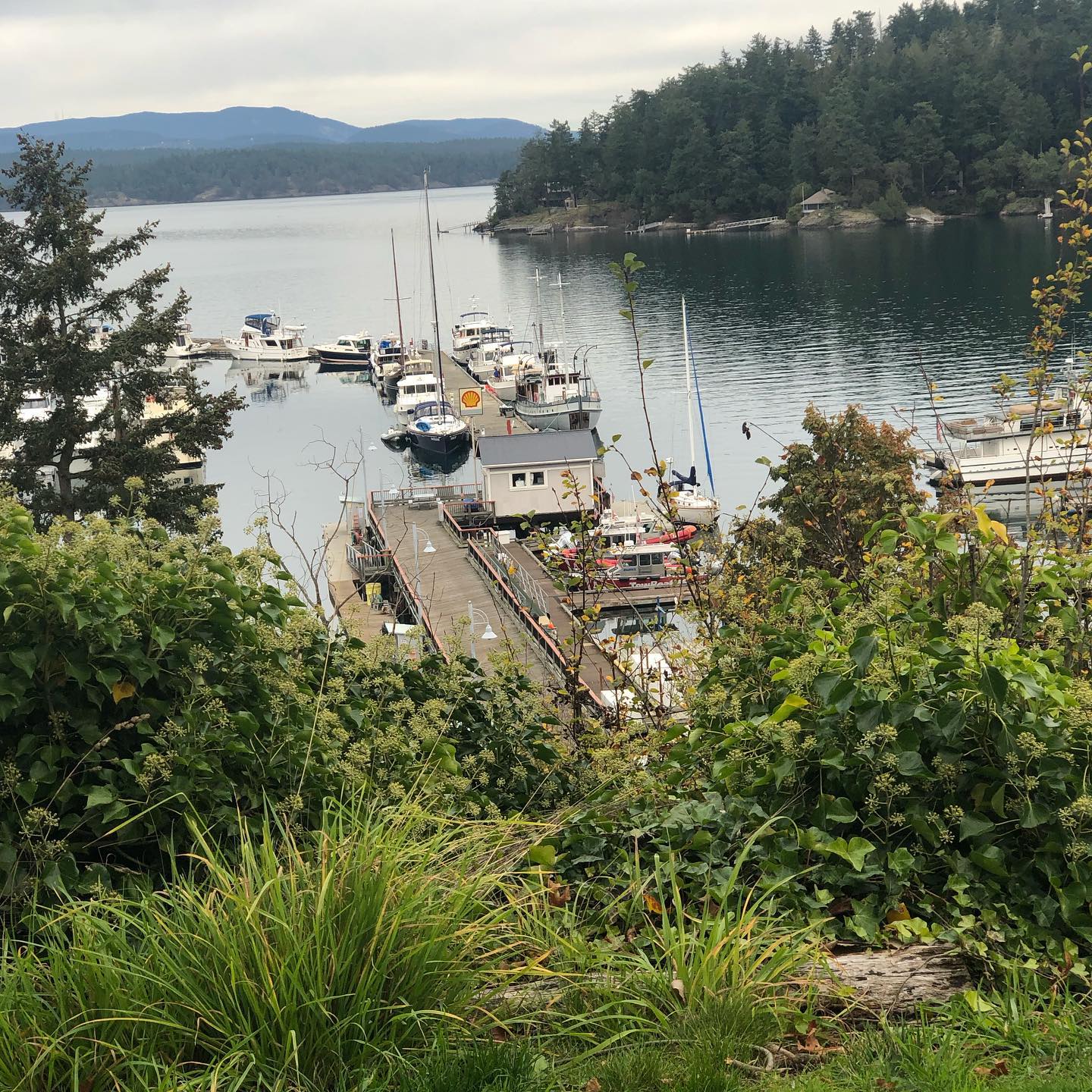 A gap year in the Pacific Northwest? We have some ideas for you!
.
.
Gap Year Base Camp offers gap year consulting, support and inspiration for the best year of your life! .
.
#gapyearbasecamp #gapyear #collegecanwait #senioryear #explorethegapyear #familygapyear #gapyearlife #traveltolearn #workabroad #studenttravel #igtravel #travelabroad #semesterabroad #traveltheworld #culturalexchange #wanderlust #collegeinfluencer #passionpassport #bethechange #makeadifference #travellife #backpackers #travelinspiration #volunteerabroad #volunteer #semesteratsea