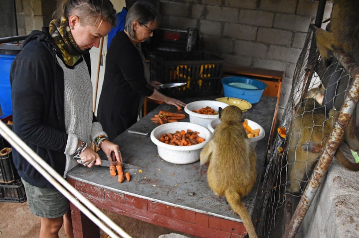 ???GYBC TOP 10 types of Gap Year Programs Conservation Programs ???
Conservation Programs also might fall into the volunteer category, but are typically more strenuous and might involve a more natural or remote setting. Name your passion and there is a program to support it! Elephants in Thailand, game preserves in Africa, sea turtles, wetlands, the rain forest…are but a few of the many options. As with any volunteer activity, it’s important that it’s a reputable organization who is not using ‘volunteerism’ as a money making machine. If you have a heart for adventure and our beautiful planet, let us help you find your perfect fit. WHAT TYPE OF CONSERVATION PROGRAM WOULD YOU WANT TO DO?
.
.
.
Gap Year Base Camp is a personalized gap year consulting service offering counseling, planning, support, training, portfolio services and more for your ultimate Gap Year Experience. We offer services to fit the budget of anyone in search of a life changing gap experience. .
.
.
#gapyear #collegecanwait #planning #gapyeartravel #gapyearlife #gapyearbasecamp #gapyearadvisor #gapyearcounselor #gapyearplanning #gapyearsupport #gapyearcounseling
#exploringtheglobe #travelon#experientialed #college#collegeplanning #highered #impact
#gapper #learntotravel #thosewhowander #learningadventure #classof2020 #senior
#highschoolgrads #adventure#exploremore #semesteratsea
#exploringtheglobe #budgettravel