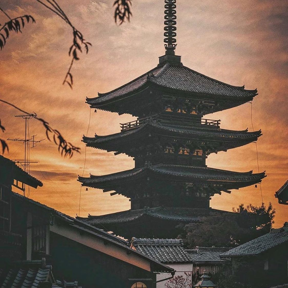 College can wait! You deserve a gap year! Japan is a bucket list destination for so many reasons. Not all classrooms have four walls...let us help you plan your best year ever.
.
.
.
.
.
#lastsemester #backpacking #travelaroundtheworld #highschoolgraduation #grouptours #traveller #southeastasia #senioryear #asia #class2020 #classof2024 #travelingram #classof2020? #seniormuse #backpacker #snrszn #travellers #seniors2020 #classof2019 #gapyear #travel #classof2020 #mytravelgram #yearabroad #studenttravel #backpackers #graduating #senioryearmagazine #adventure #explore