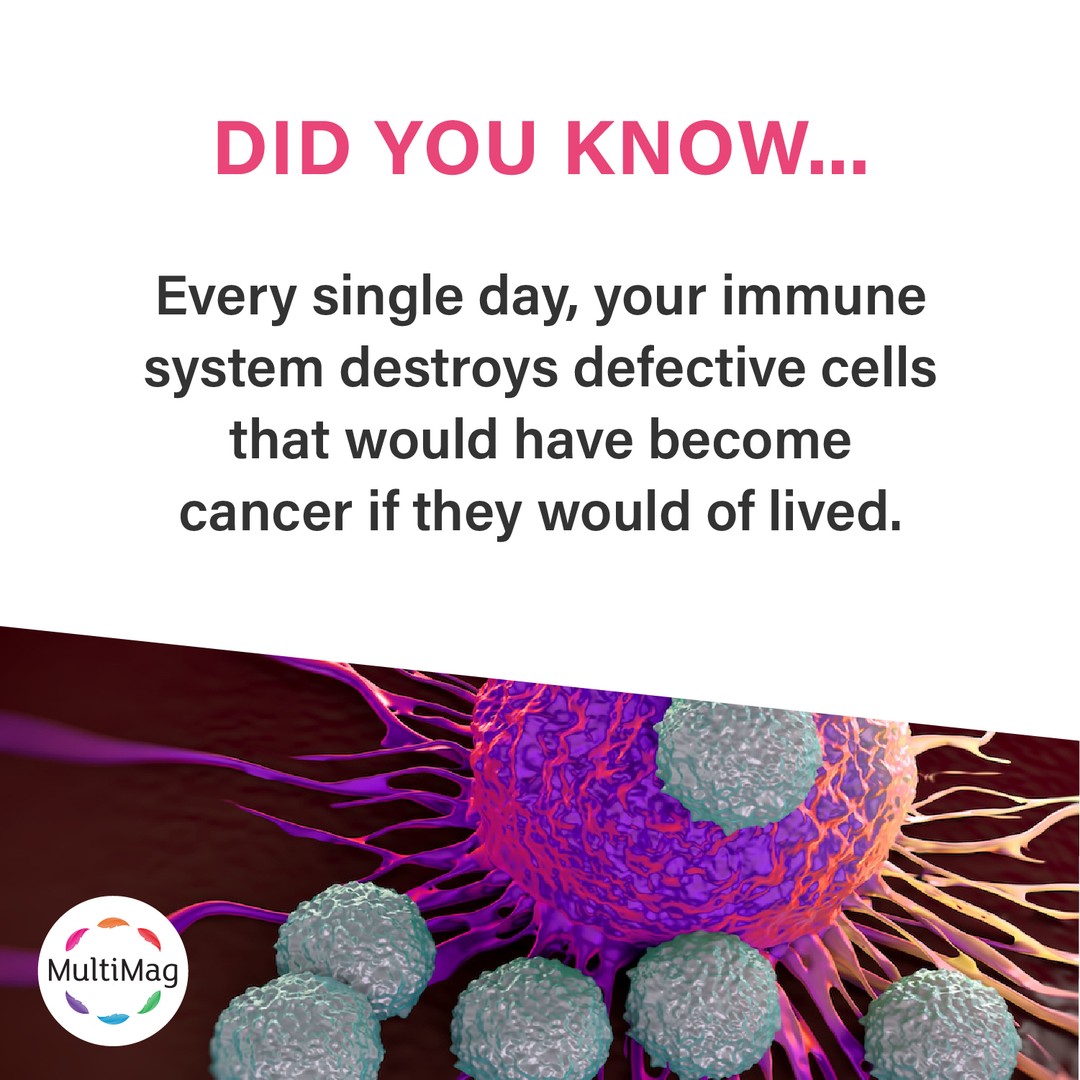 This is why it is sooo important to make sure you have the best fighting chance with a STRONG immune system.â 
â 
Here are 10 ways to naturally boost your immune health:â 
â 
đEat a clean dietâ 
đGet plenty of sleepâ 
đCatch some sun raysâ 
đAvoid sweets and refined sugarâ 
đMove your body!â 
đAdd superfoods to your dietâ 
đMaintain good hygiene â 
đPractice moderationâ 
đTake Supplements & Probioticsâ 
â 
Many of these things require your own hard work, discipline and self-control, we, on the other hand, can help with the supplement side where you can trust comes from high-grade ingredients. â 
â 
Our MultiMag (Magnesium, Calcium, and Zinc) are hugely important minerals required for the body to be able to help fight diseases, illnesses and helps support many health problems such as headaches, muscle tension, chest health, regular heartbeat, normal development etc.â 
â 
Get your monthly supply at
đąwww.multimag.nz