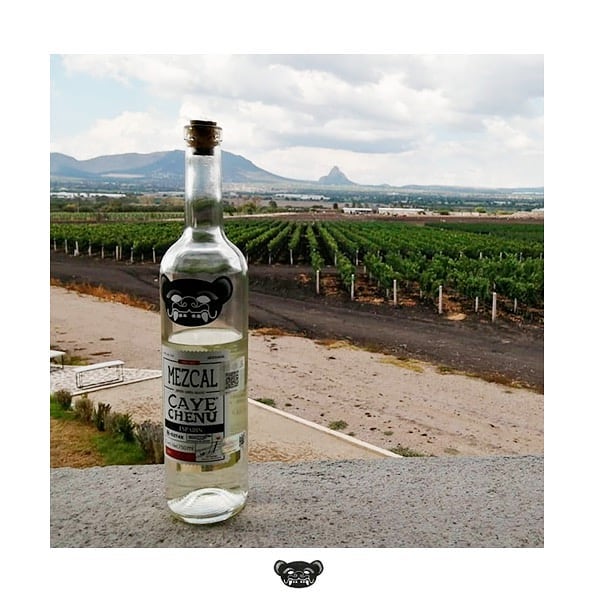 Dale felicidad a tu vida con mezcal #cayechenu
#mezcalesartesanales #mezcalito #mezcalencasa #consumelocal #yopidolocal #estamosfelices #somosmezcal #mezcaleando #echateunmezcal