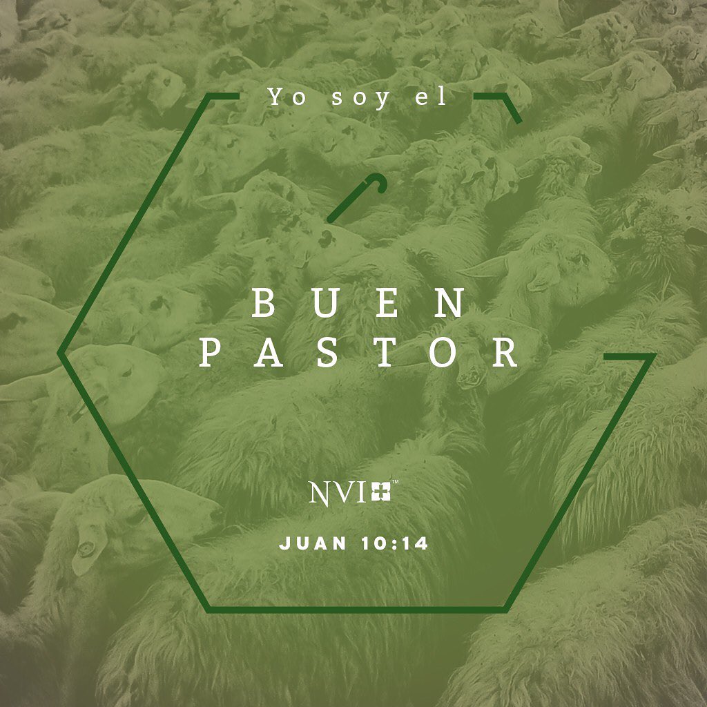 I like to think about what the qualities of a perfect shepherd are. But I especially love the fact that the sheep recognize their shepherd’s voice. Talk about hearing the angels sing!
#harktheheraldangelssing #buenpastor #goodshepherd #escuchaalosangeles