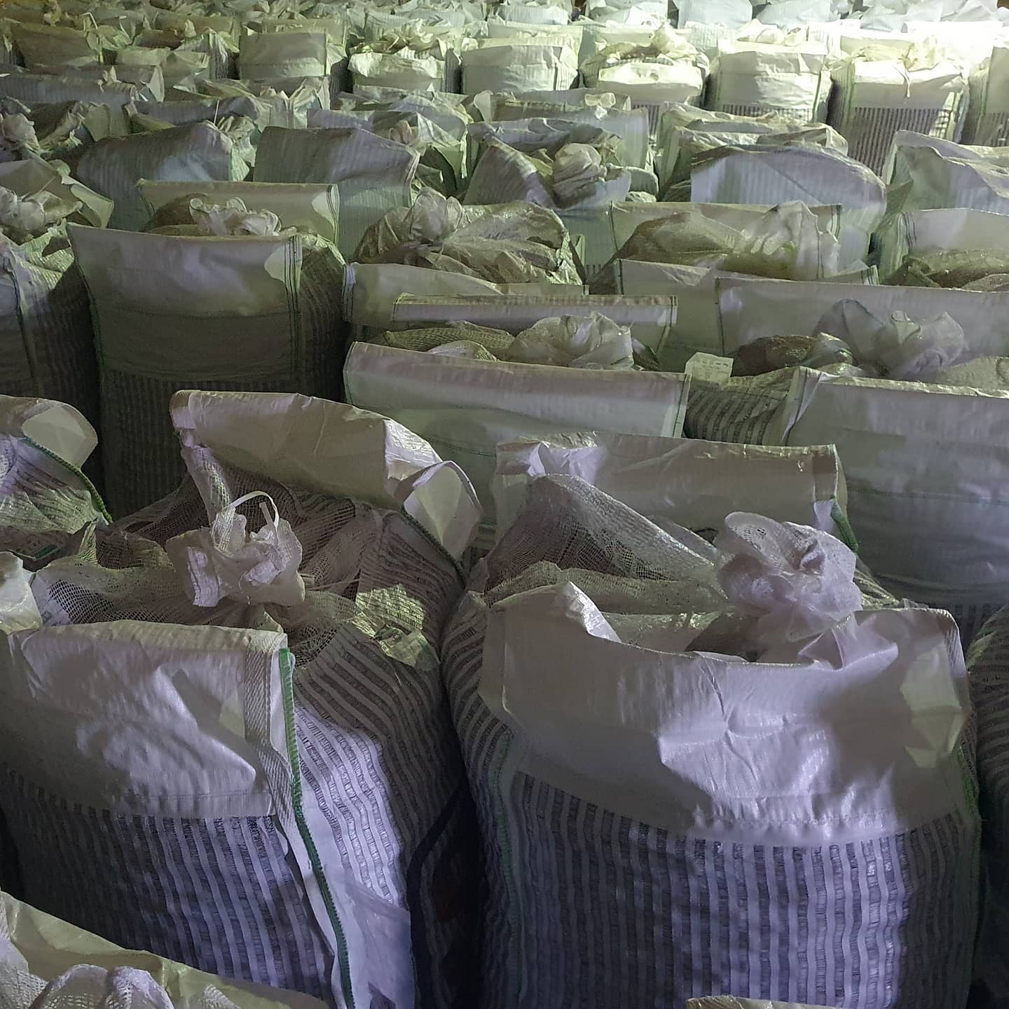 Seed movement is at full speed as planting continues across the UK with some excellent conditions and continued dry weather.  As bags of seed arrive on farm, check the label and a full QC should be carried out before the bags are emptied. Bags should be emptied as soon as possible after arriving and if not being planted within a couple of days,  either put in a store with good air movement or a cold store. The seed potatoes should be brought out of cold store a couple of days before planting to warm up and acclimatise before planting. 
#thepotatoforum #seedpotatoes #seed #potato #tubers #plant #plant21 #planting  #allaboutpotatoes #potatoknowledge #agriculture #farming #farm365 #farm #papa #patata #batata #pommedeterre #potatoes #aardappel #kartoffel #potatofarm #potatofarmer #potatofarming #instapotato #instapic