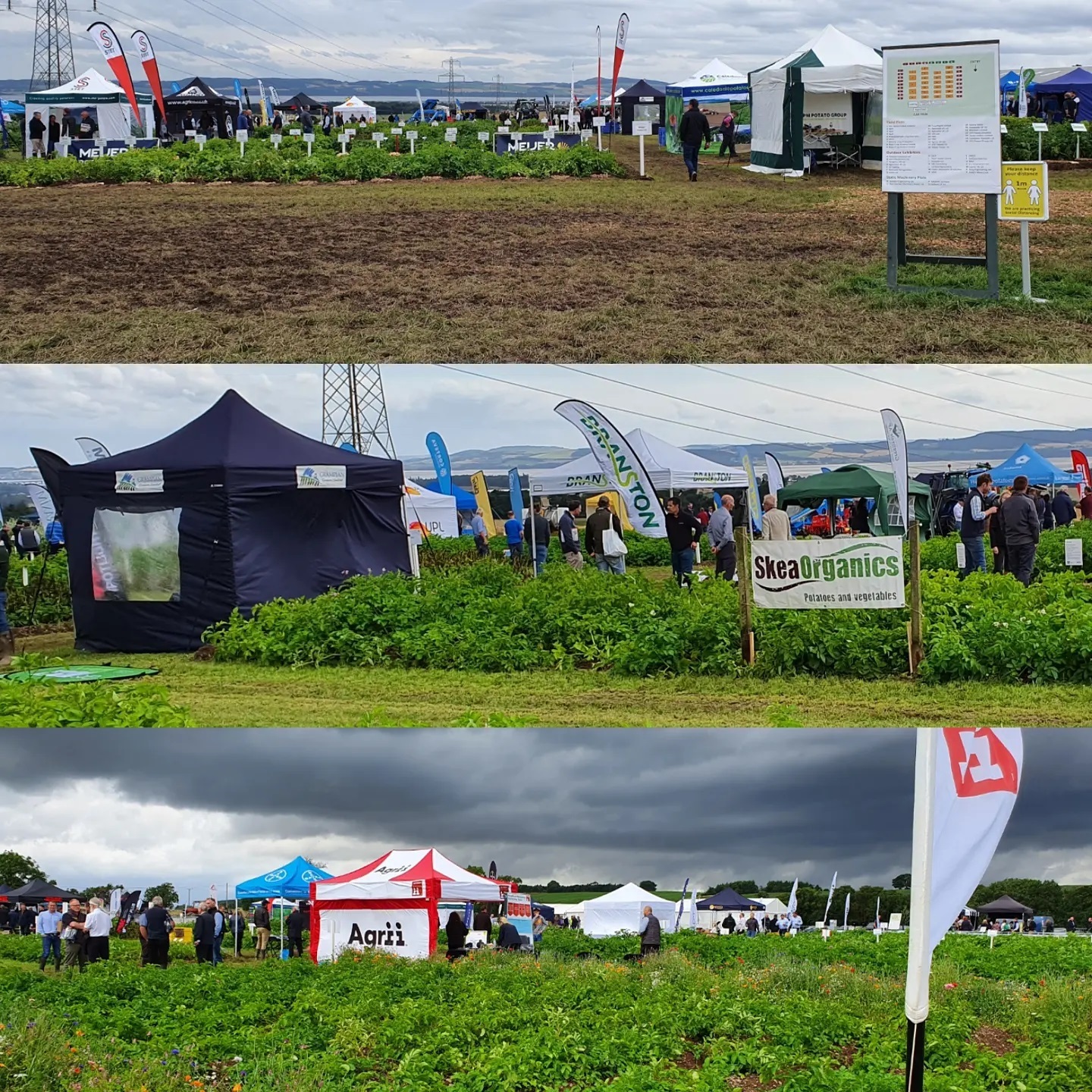 A good day at Potatoes in Practice. Great to see so many farmers,  producers, traders and everyone else who attended.  First proper meeting in at least a 18 months, muddy under foot but dry for the event. Many new varieties from the seed houses to think about.  It is good to be back.
#thepotatoforum 
#potatoesinpractice #jameshuttoninstitute #caledoniapotatoes, #skeaorganics #solanaseeds #grampiangrowers #greenvaleseed #stetpotato #ipmpotatogroup #meijerpotatoes #branstonpotatoes  #allaboutpotatoes #potatoknowledge #agriculture #farming #farm365 #farm #potato #papa #patata #batata #pommedeterre #potatoes #aardappel #kartoffel #potatofarm #potatofarmer #potatofarming  #potatoesofinstsagram