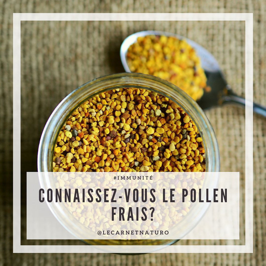 Hello mes naturolovers 💫
Avez-vous déjà goûté le pollen 🐝❓
Et oui je continue mes posts sur les produits de la ruche 🍯
Ce sont de véritables trésors 🎁
Découvrez tous les bienfaits du pollen dans les slides ci-dessus 💖
⚠️ Personnes allergiques aux produits de la ruche et aux piqûres d’abeilles s’abstenir
Les informations publiées sur ce compte sont à titre informatif et ne se substituent pas à une consultation chez votre médecin
#naturopathie #bastia #santenaturelle #propolis #bienetreaunaturel #lecarnetnaturo #hiver #immunité #savethebees #abeille #apitherapie #pollen