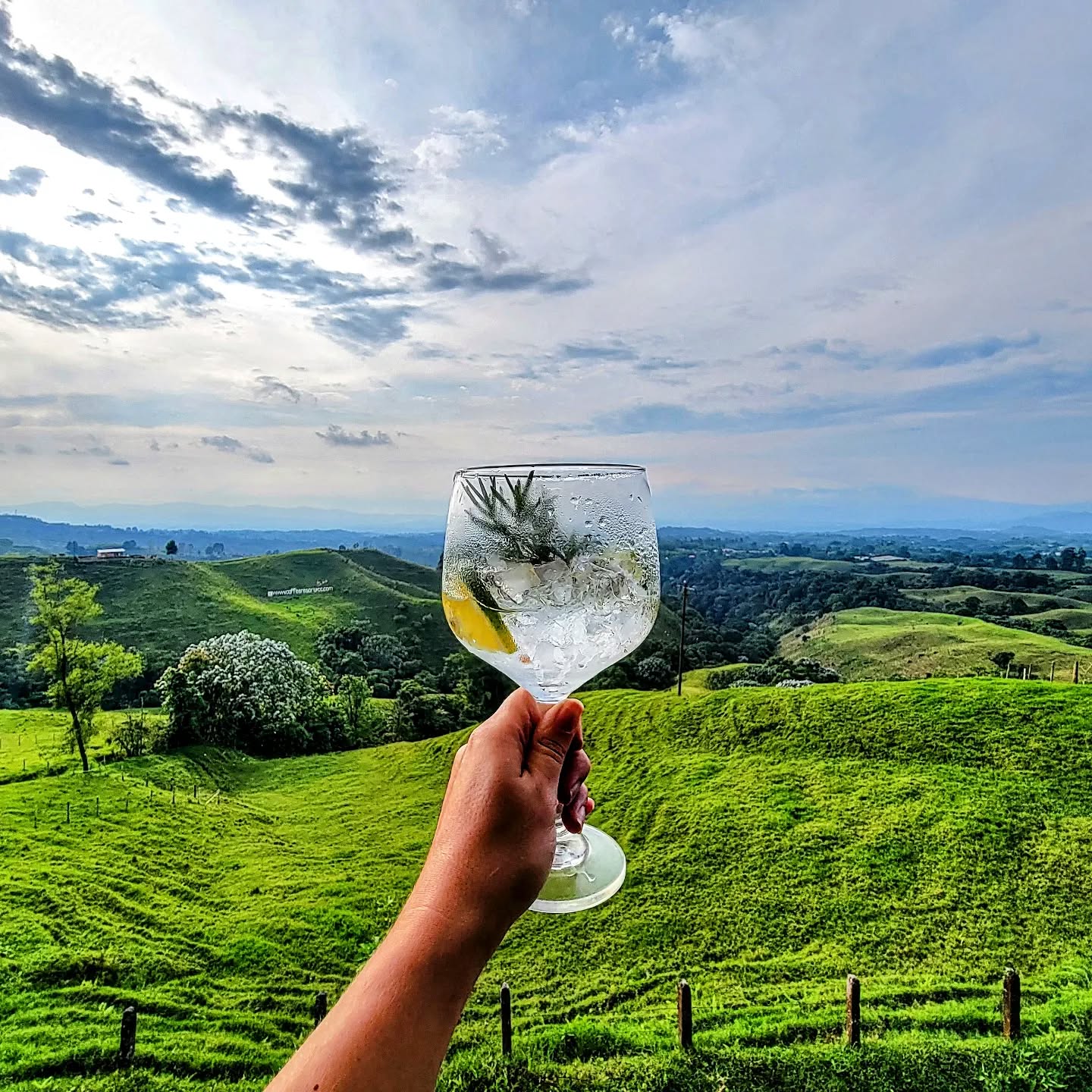 Filandia
.
..
...
.... Big skies, howler monkeys, hiking, coffee, green fields.... and gin and tonics!