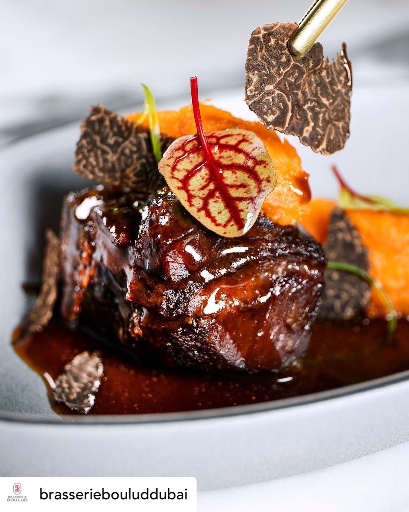 • @brasseriebouluddubai Only until Feb 24th, enjoy a special 4-course menu at AED 275 per person featuring grain-fed, no antibiotic #CanadianBeef, seared to perfection. Book at brasserieboulud.ae
#BrasserieBoulud x @lovecdnbeef x &
@heritageangus