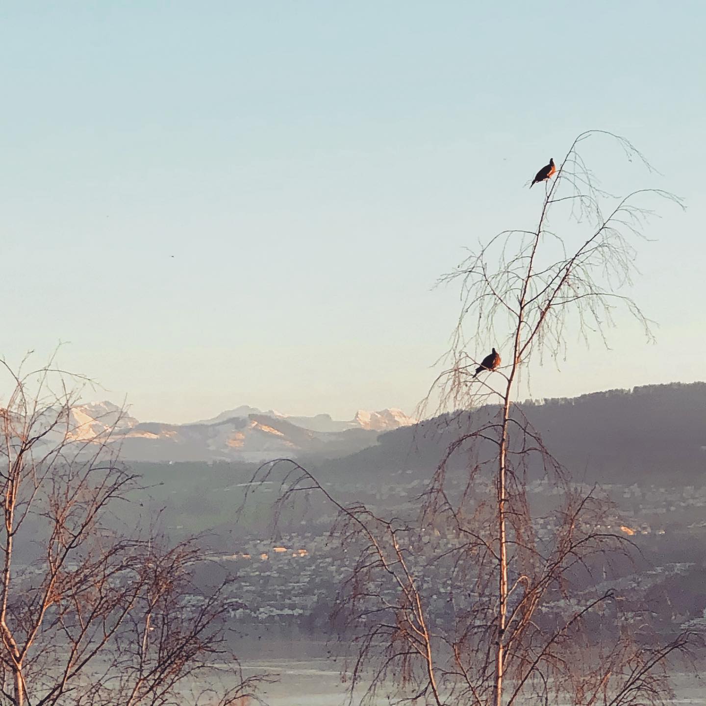Wer es könnte
Wer es könnte
die Welt
hochwerfen
dass der Wind
hindurchfährt.
Hilde Domin