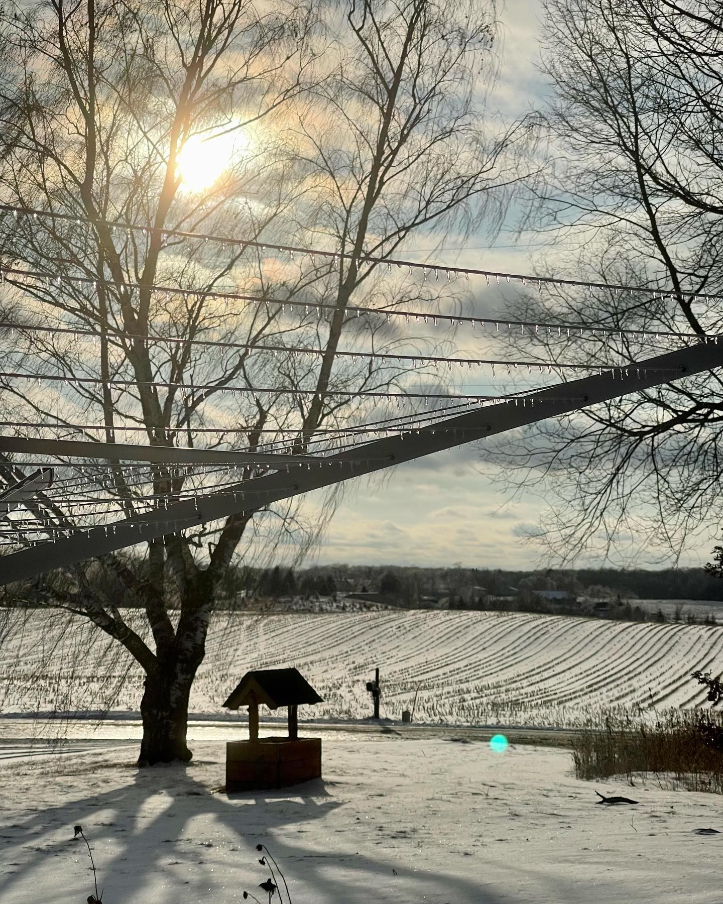 It was one of those kinds of days around the farm where everything looks so beautiful and the pictures don’t do it justice. The clothes line looked like a spider‘s web with dew on it because of the frozen drips shining in the sun.
#farmlife #farmhouse #ice #minnesota