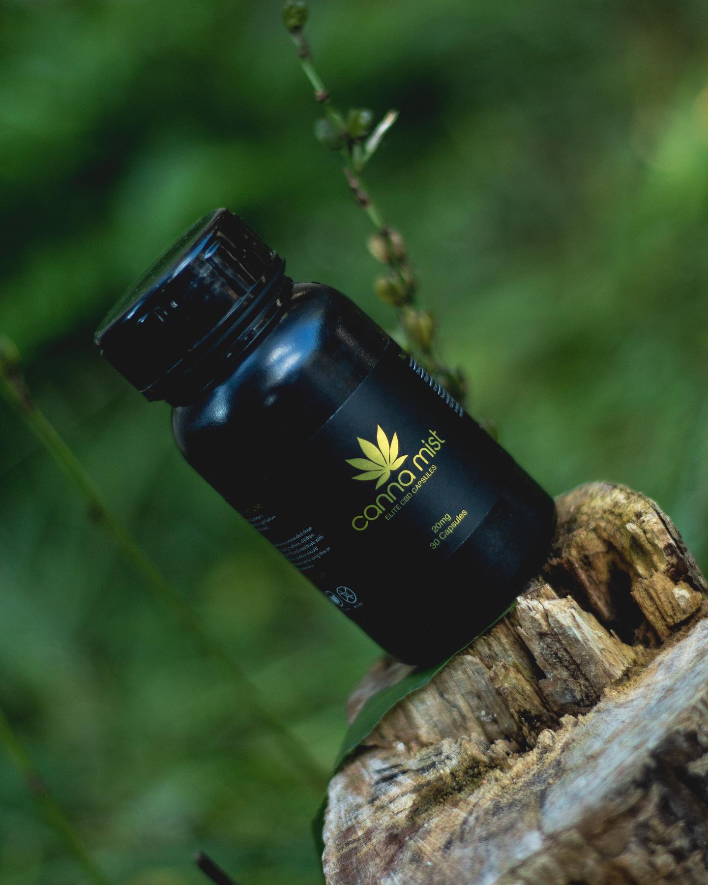 Introducing our new CBD Capsule range, with 20mg of CBD extract per capsule, and a total of 30 capsules, it’s an easy way to take your daily CBD intake
These will be available on our website very soon
#cbd#cbdwellness#cbdcapsules#cbdheals#cbdbenefits#cbdskincare#cbdeducation#cbdoils#cbdinfused#cbdforanxiety#health#wellness#capsules#canna#cannamist#cannabis#weed#cbdhelps