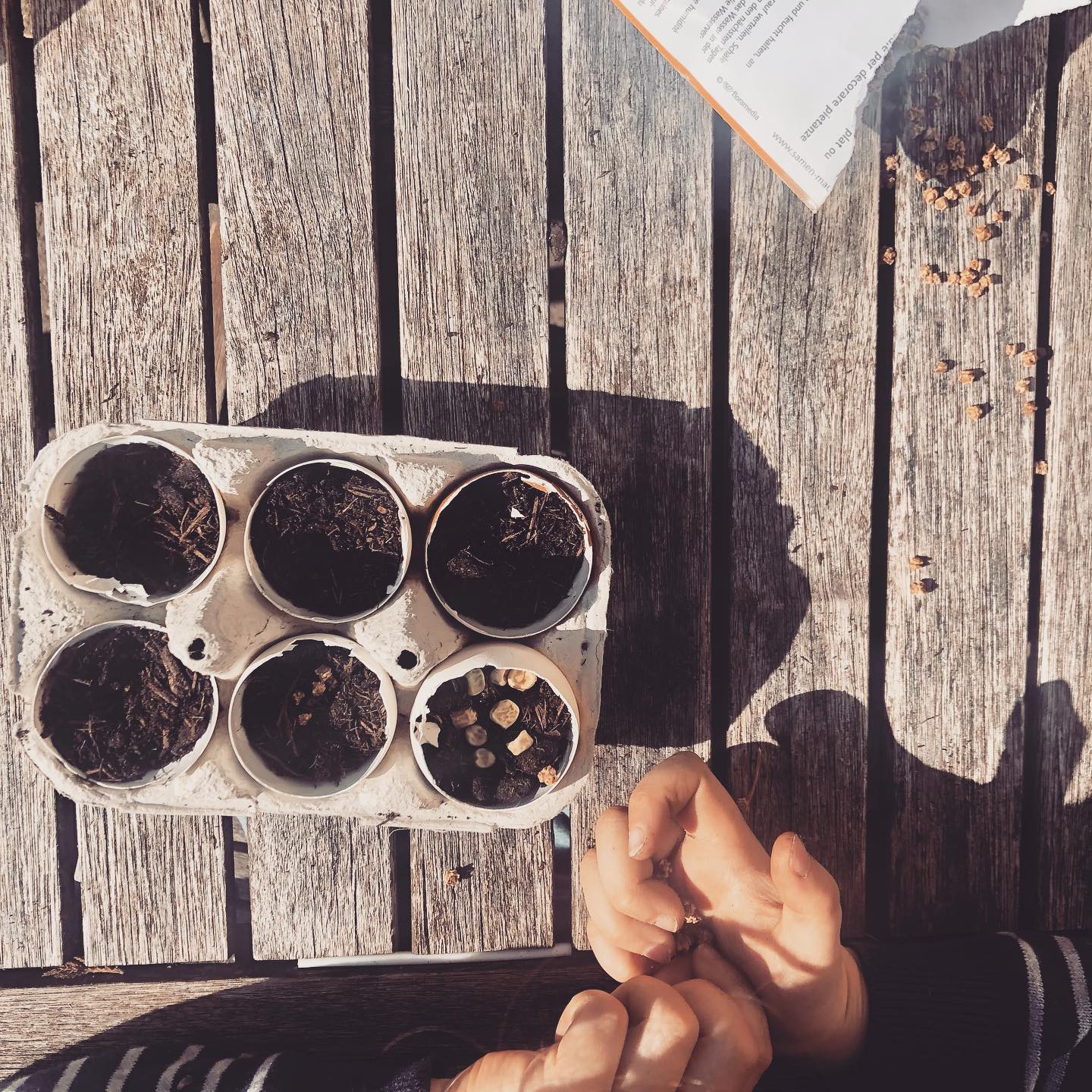 Lernen durch die Sinne, durch beGREIFEN und durch Beobachten: Kresse und Co.
Feinmotorisch eine rechte Herausforderung, wie man auf dem ersten Bild sieht 😄
Ich hab die Keime übrigens genau vor einem Jahr gekauft, hatte dann aber zwölf Monate lang weder Zeit, noch Nerven, noch Geduld, noch die Wonne für diese Aktion.
Und wenn wir schon von Nerven reden (schon wieder 🤪): Mein vierjähriger Sohn fragte uns neulich, ob es eigentlich Menschen gibt, die immer Nerven haben. Vielleicht rede ich in letzter Zeit ein bisschen zu oft davon 🙈
.
.
.
.
.
.
.
.
#mitkinderngärtnern #naturpädagogik #erlebnispädagogik #montessoriathome #montessoriimpuls #montessorizuhause #montessori #montessoryactivity #sprossen #nature #naturmitkindern #mitkindernbeobachten #staunenmitkindern #kindergarten #kindergartenteacher #kindergartenactivities #family #familytime #familyactivities #mamavondrei #momof3 #maman #mamansuisse #mama #mom #momlife #eltern #wireltern #sinne #learningbydoing