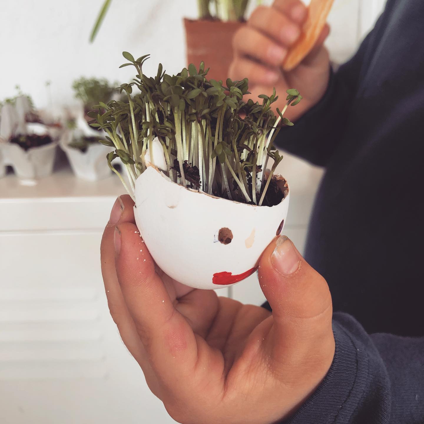„Hi there!“
.
.
.
.
.
#kindergarten #kindergartenactivities #kindergartenteacher #kindergartenpädagogin #naturpädagogik #erlebnispädagogik #sprossen #kresse #nature #naturmitkindern #mitkindernbeobachten #learningbydoing #sinne #wireltern #maman #mamansuisse #mom #mama #eltern #familytime