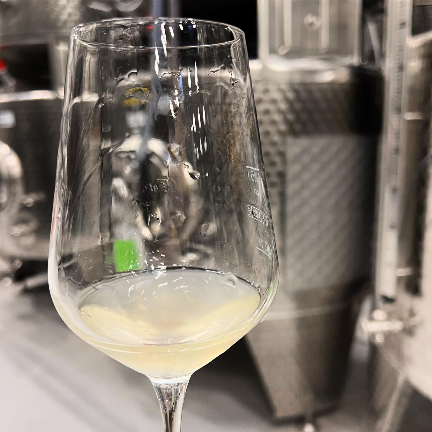 Fassweinprobe. Die 2022er Scheurebe zeigt sich von seiner besten Seite. Ihr könnt Euch schon jetzt darauf freuen.
#scheurebe #weinprobe #weinliebhaber #weinliebe