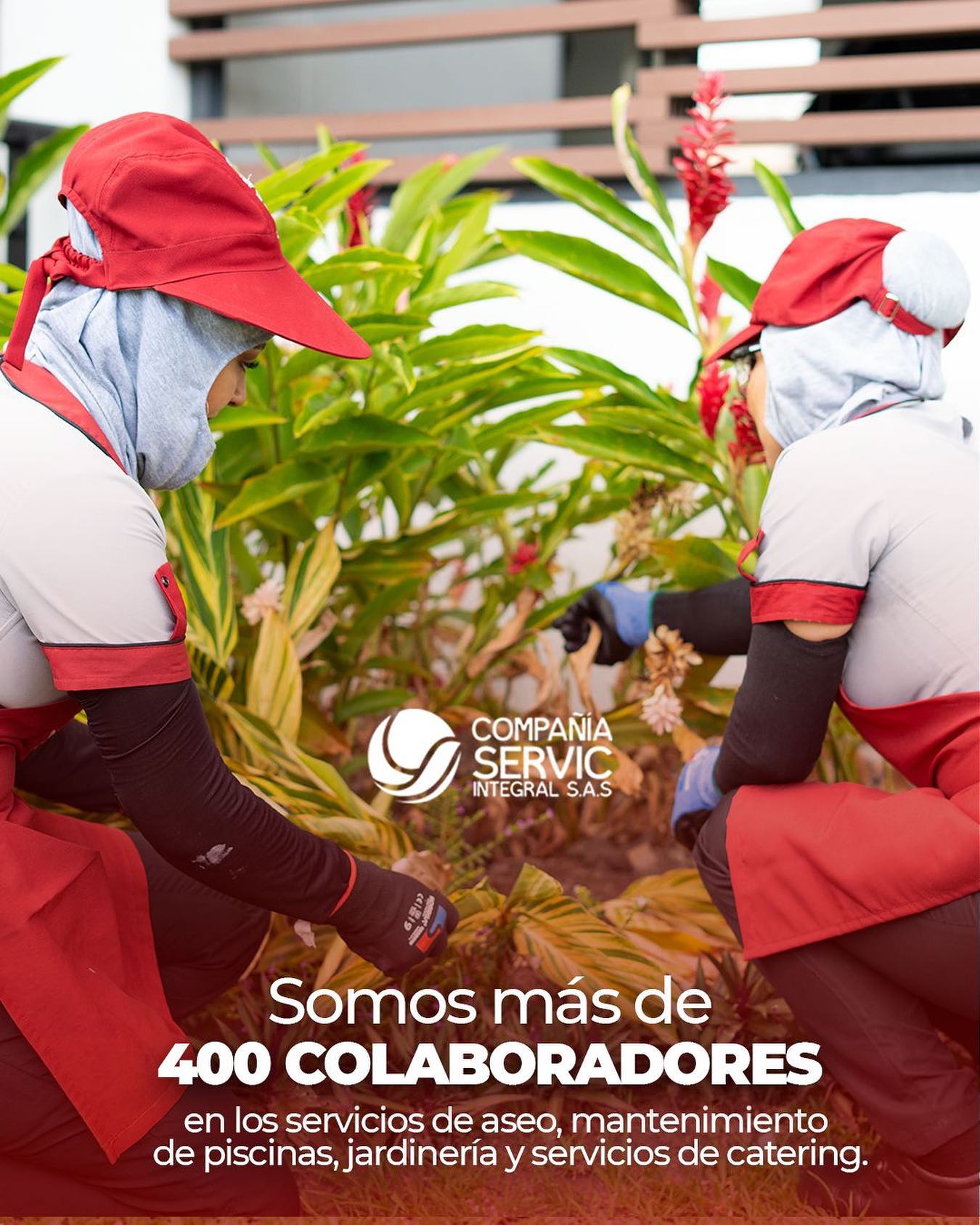 🙌🏼 Somos más de 400 colaboradores en los servicios de aseo, mantenimiento de piscina, jardinería y servicios de catering.
Contáctanos! 📲3112152995
📲3232331107
#aseoylimpieza #empresas #oficina #sectorcomercial #edificios #aseo #limpieza #villavicencio #catering #mantenimientodepiscinas #jardineria