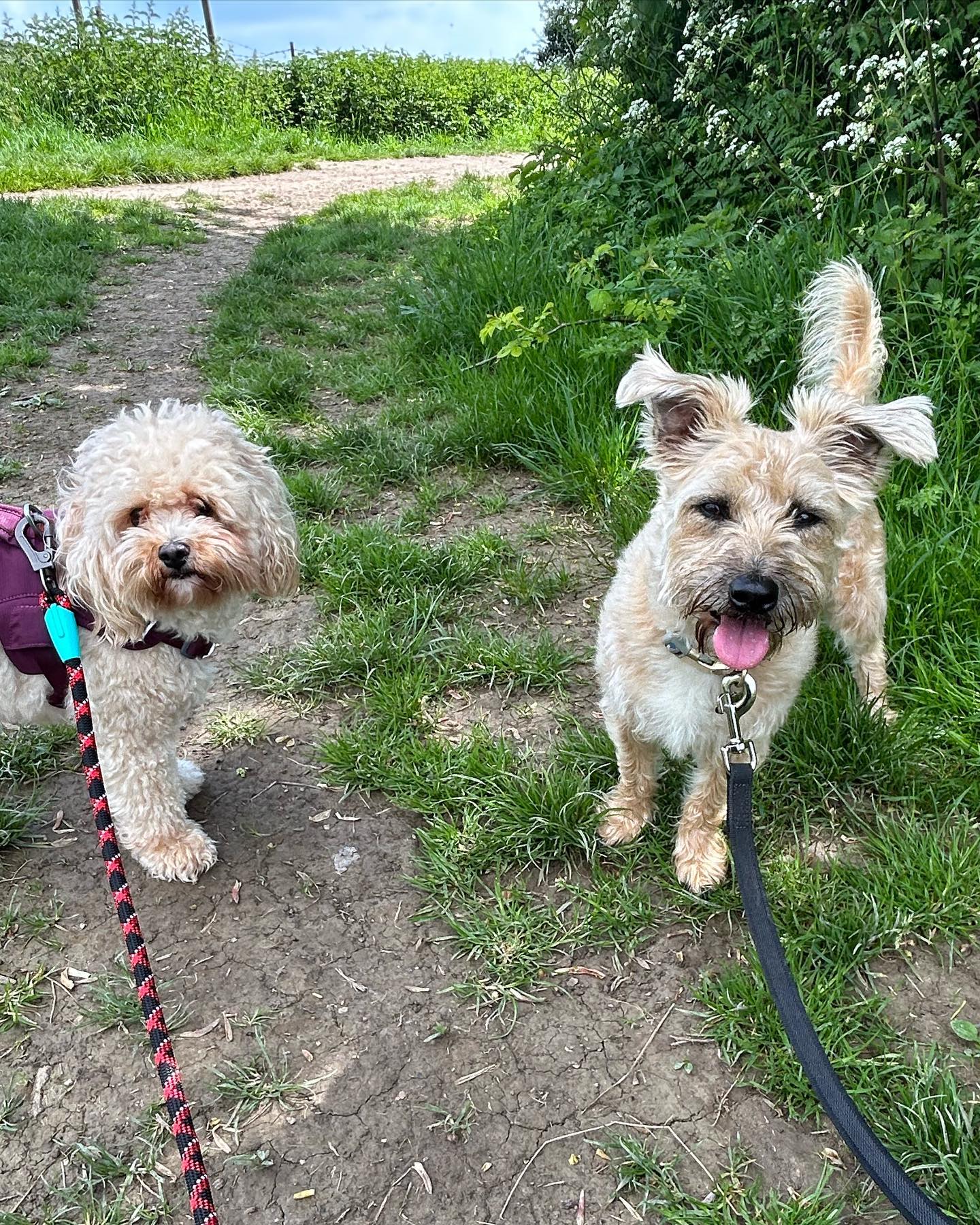 The best of friends x