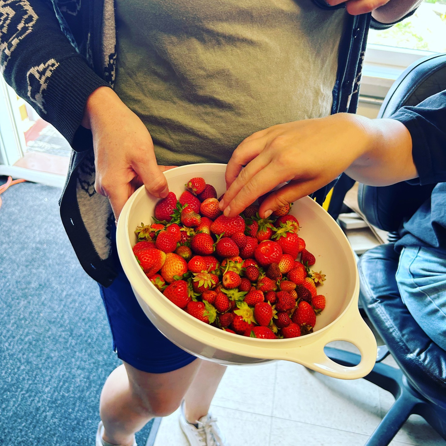 Today's Strawberry Harvest!!!❤️🍓