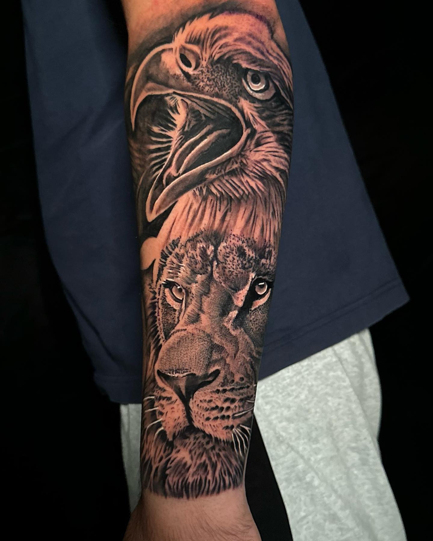 ?? Unleashing the power and majesty of nature! Check out this stunning black and grey sleeve tattoo featuring a regal lion and a soaring eagle. ?✨ The perfect fusion of strength, courage, and freedom. What a masterpiece! ??
#TattooArt #NatureInspired #blackandgreytattoo #tattooblackandgrey #sleevetattoo #besttattoos #coventrytattoo #tattoocoventry #birminghamtattoo #tattooideas #tattooart #tattoo2me #tattoostyle #tattoomodel #tattoodesings
