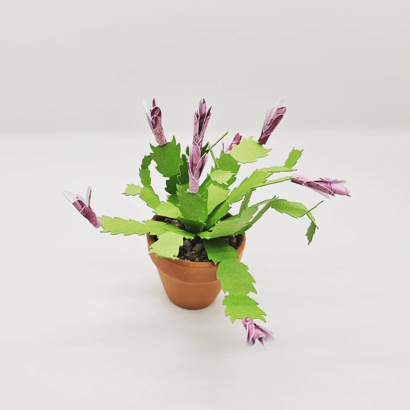 A new paper cactus, Christmas cactus!
#artist # crafter #paper #papermade #handmade #cactus #christmascactus