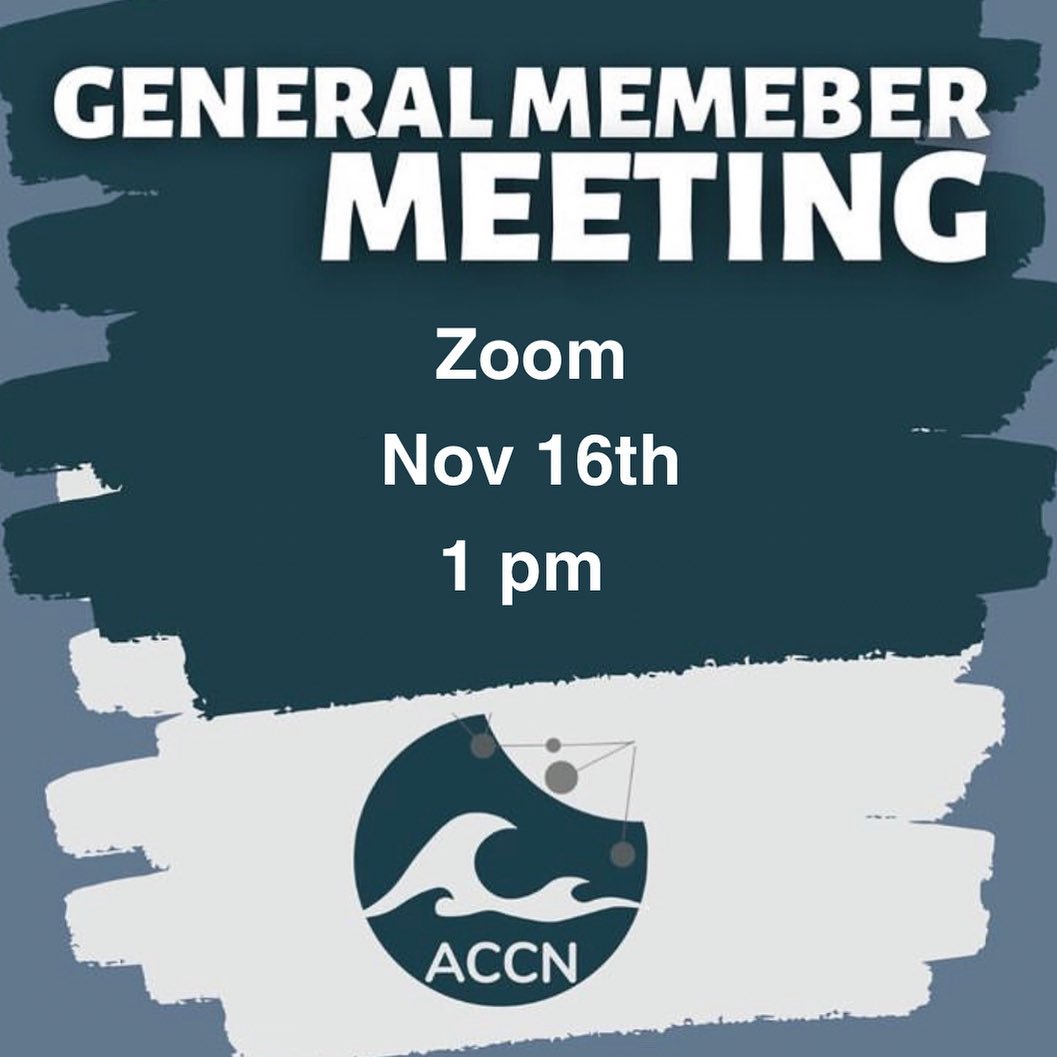 Just a reminder we will not have our monthly network meeting this month but we look forward to seeing you next month and at our other events in the meantime! Join us this Tuesday @ 2 pm AT for the Innovation Speaker Series with Tim Perrin.
More information on this Tuesday’s event to come!