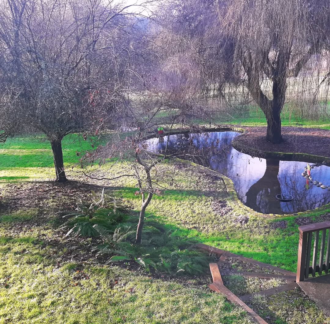 Feeling grateful for our beautiful backyard! We are looking forward to reading under the willows when the sun comes out!
#getoutside #readingspot #sunshine #imhs #montessori #islandmontessorischool #yyj #yyjreads