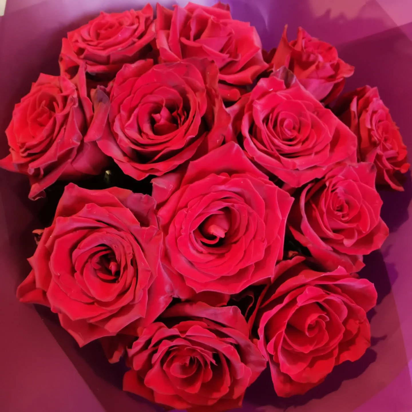 The classic dozen, no foliage, no frills, simple and stunning!
'pure love' is available to order on my website.
#purelove #newmaldencommunity #lovenewmalden #lovekingston #shoplocal #shopfresh #supportsmall #afloralaffair #valentinesdayclassic #romanceisnotdead #flowerlovers #kingstonflowerdelivery #theclassicdozen