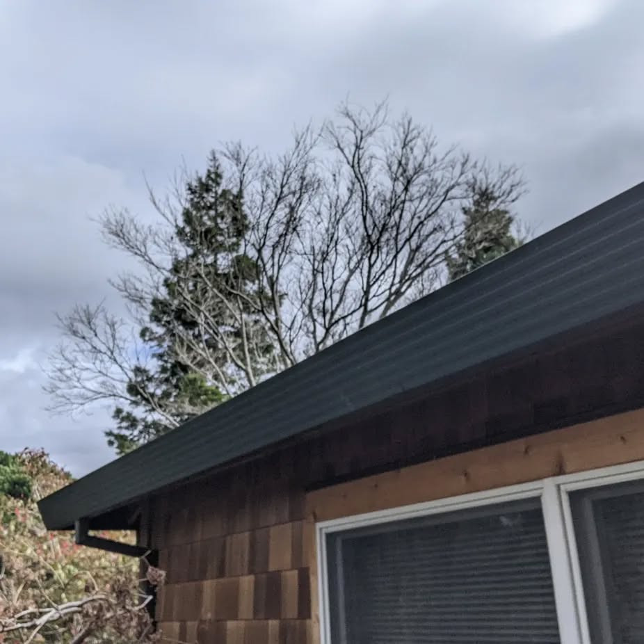 Japanese Maple crown reduction #afterandbefore #momiji #acerpalmatum #winterpruning #treepruning #japanesemaple #crownreduction #arboriculture #arboristofinstagram #cyclingarborist #alameda #alamedaca