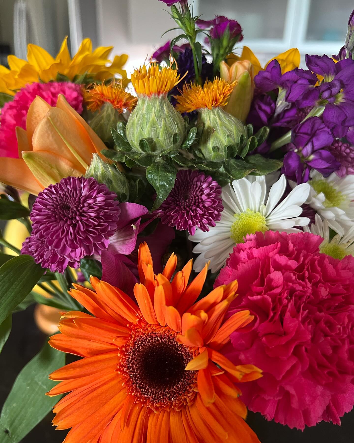 Spring has sprung! We’ll be in the studio soon.