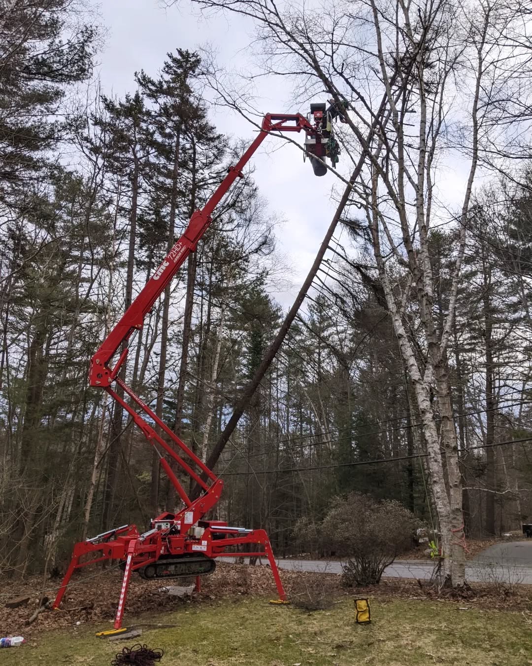 Do you even lift bro!? + Brown tail nest burning 🐛🔥 👍 #maine #arborist @chiefduncphoto