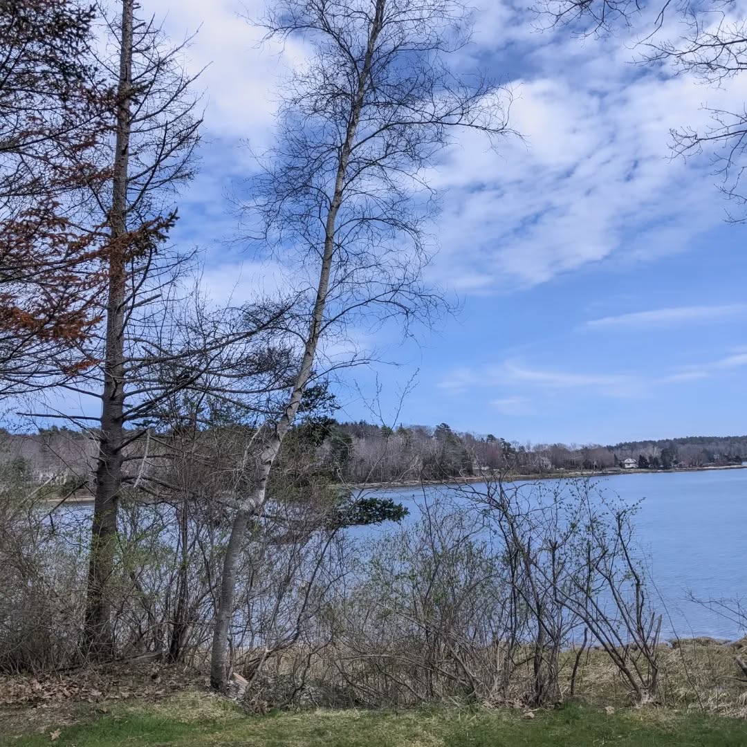 #beforeandafter #cleanups