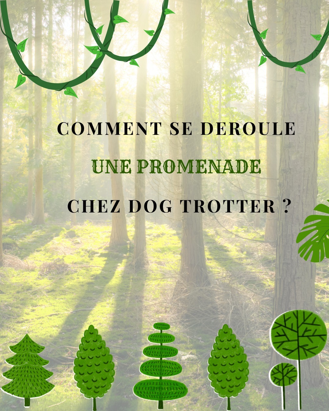 🐾 Découvrez les coulisses d'une promenade chez Dog Trotter ! 🐶✨
Chaque promenade partagée avec nos fidèles compagnons est bien plus qu'une simple sortie. C'est une aventure où chaque pas est rempli de joie, de découvertes et de complicité. 🌳🌞
Ça commence par un accueil chaleureux et une séance de câlins, parce qu'avant de partir explorer le monde, il faut échanger un peu d'amour ! ❤️
Ensuite, c'est l'heure de la balade, où nos amis à quatre pattes se lancent à la découverte de nouvelles odeurs, de coins secrets à explorer entourés de leurs copains. 🌍🐾
Pendant la promenade, je veille toujours à ce que nos toutous soient en sécurité et heureux. Je m'assure qu'ils s'amusent, se dépensent et profitent de chaque instant en plein air. 🌿💫 Et bien sûr, je capture toujours quelques moments magiques pour partager avec vous ! 📸✨
Alors, êtes-vous prêts pour une balade inoubliable ? Rejoignez la team Dog Trotter pour des promenades remplies de bonheur et des chiens épanouis ! 🐕💕
#dogwalker#aventurecanine #complicitécanine#promenadepourchiens#balades#manquedetemps#chienheureuxmaitreheureux#bienêtreanimal#sudluxembourg