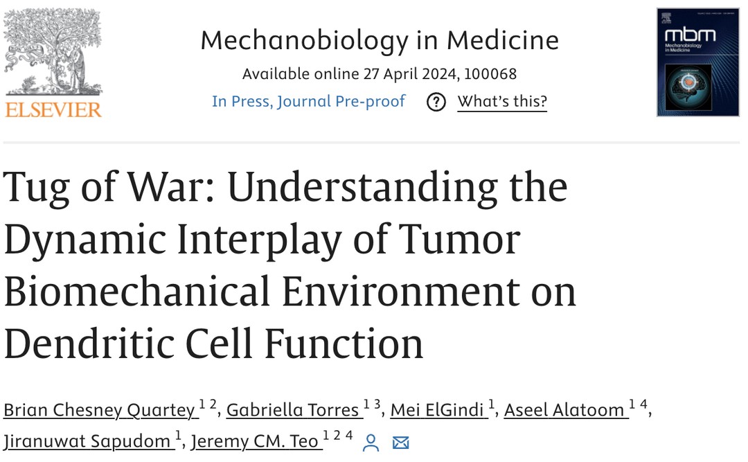 @nyutandon and @nyuabudhabi #phdstudent @chesneybrian's review on #dendriticcell #immunomechanobiology is out in Mechanobiology in Medicine's special issue on #cancermechanobiology! Congratulations to Brian and co-authors, @gabriellatorres06 @meielgindi @aseelalatoom_94 @jsapudom and @jemteocm!