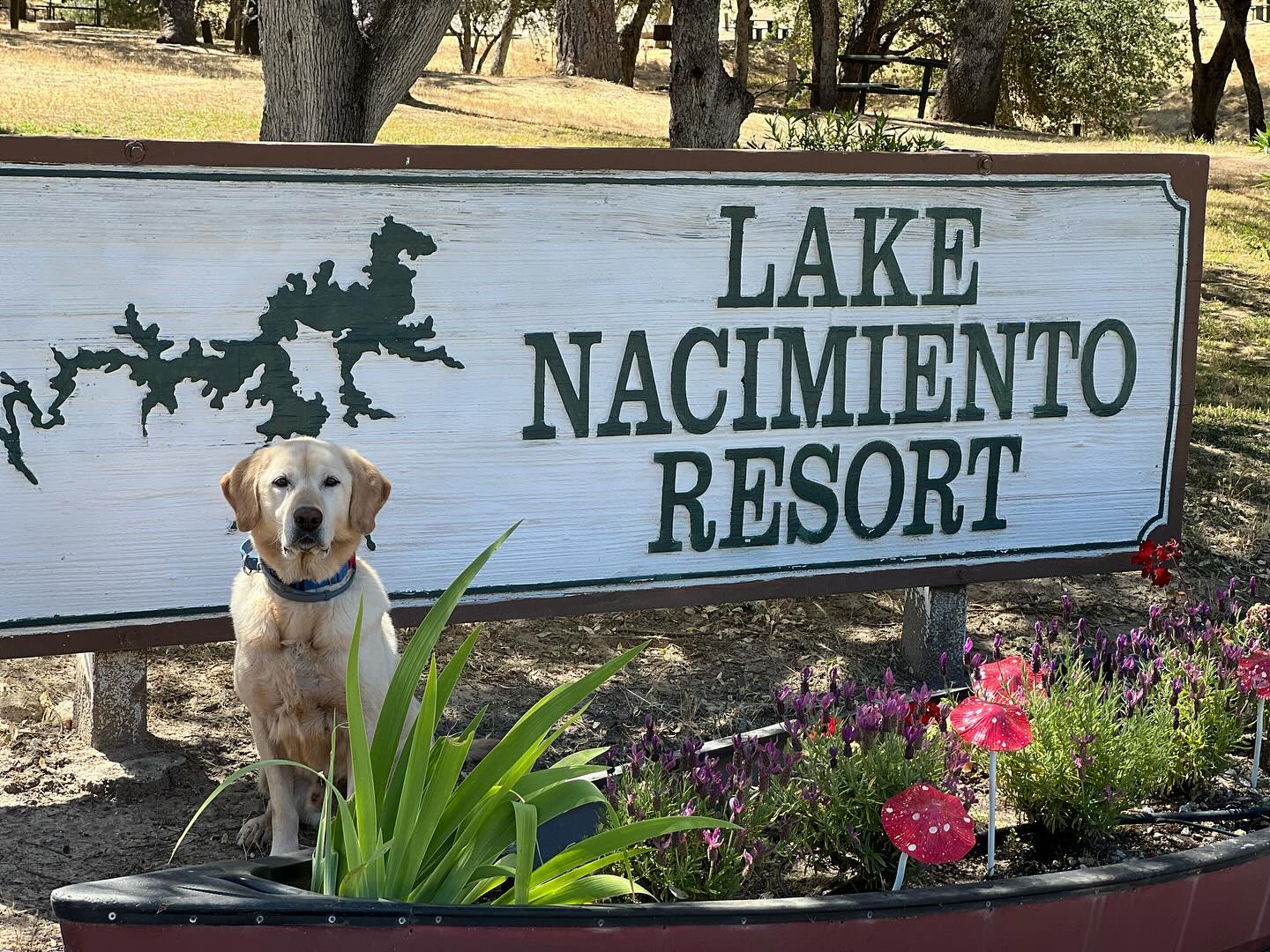 Tugboat is enjoying our long weekend helping keep Lake Naciemento mussel free!