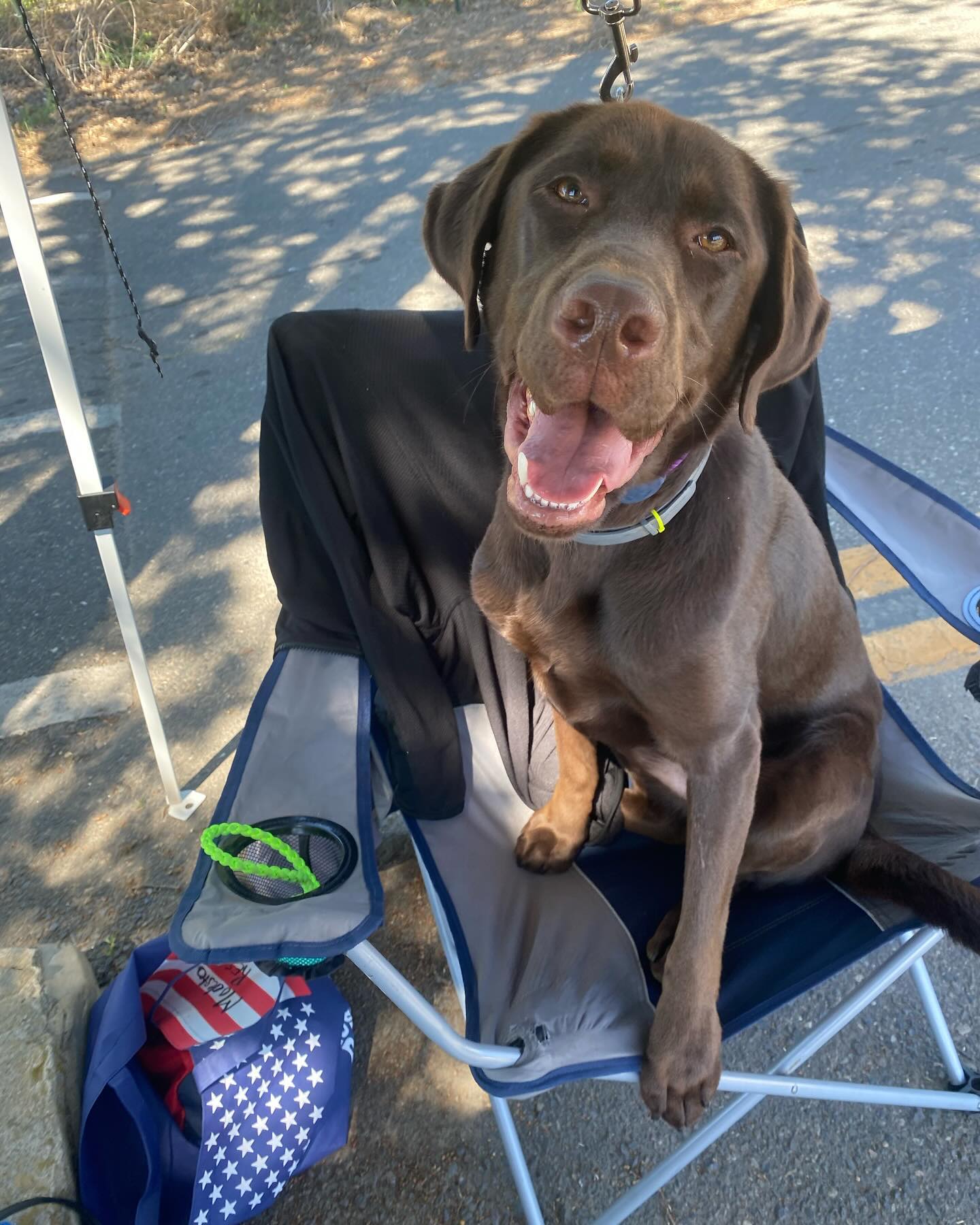 Splash has claimed his spot while waiting for boats at Modesto Reservoir! Be sure to be Clean Drain and Dry!