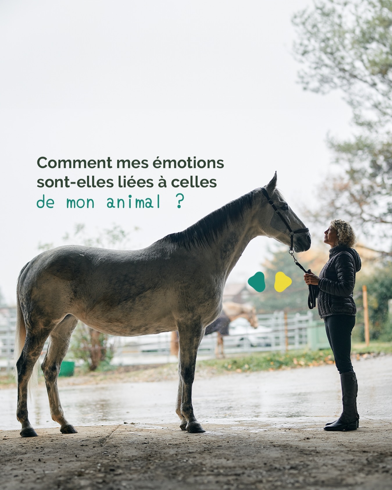 On parle de l’effet miroir entre un animal et son humain ✨
Cela se manifeste à travers des réactions de l’animal qui correspondent aux états émotionnels des êtres humains qui partagent sa vie.
Les animaux sont naturellement réceptifs aux énergies et aux états émotionnels présents dans leur environnement.
Ils absorbent les émotions qui proviennent de leur entourage et parfois, ils les expriment à leurs compagnons humains au moyen de différents comportements et attitudes.
L’effet miroir offre une occasion unique de croissance personnelle et de mieux-être à son compagnon humain ??
L’animal vous incite à l’introspection et à la prise de conscience.
.
.
.
.
#geneva #geneve #communicationanimale #shiatsu #animaux #animauxdomestiques #shiatsu #shiatsuanimaux #terapies #animals #suisse #suisseromande?? #suisseromande #cheval #chavales