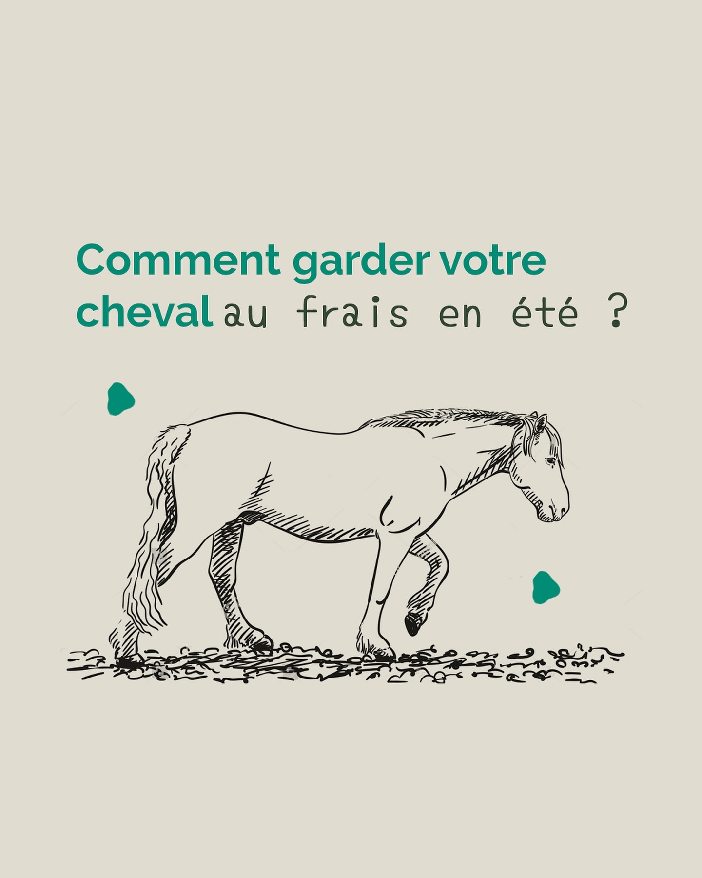 Comment garder votre cheval au frais en été ? ✨
L’été approche et l’un des principaux sujets que l’on me
demande est de savoir comment garder nos chevaux au
frais.
Voici quelques conseils ! ?
.
.
.
.
#geneva #geneve #communicationanimale #shiatsu
#animaux #animauxdomestiques #shiatsu
#shiatsuanimaux #terapies #horses