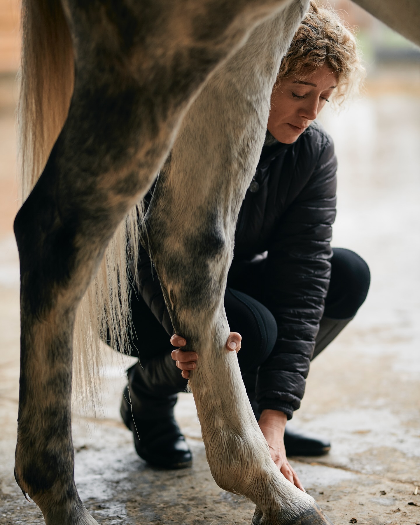 Quels sont les avantages du shiatsu et du massage
personnalisé pour les chevaux ? ✨
- Diminuer les raideurs, les contractures
- Prévenir les risques des blessures
- Soulager la douleur
- Augmenter la souplesse et la mobilité
- Réduire le stress et la fatigue
- Améliorer ses performances
Si vous souhaitez réserver une séance de massage pour
votre cheval, n’hésitez pas à m’écrire par message ou via mon
site internet ??
.
.
.
#geneva #geneve #communicationanimale #shiatsu
#animaux #animauxdomestiques #shiatsu #shiatsuanimaux
#terapies