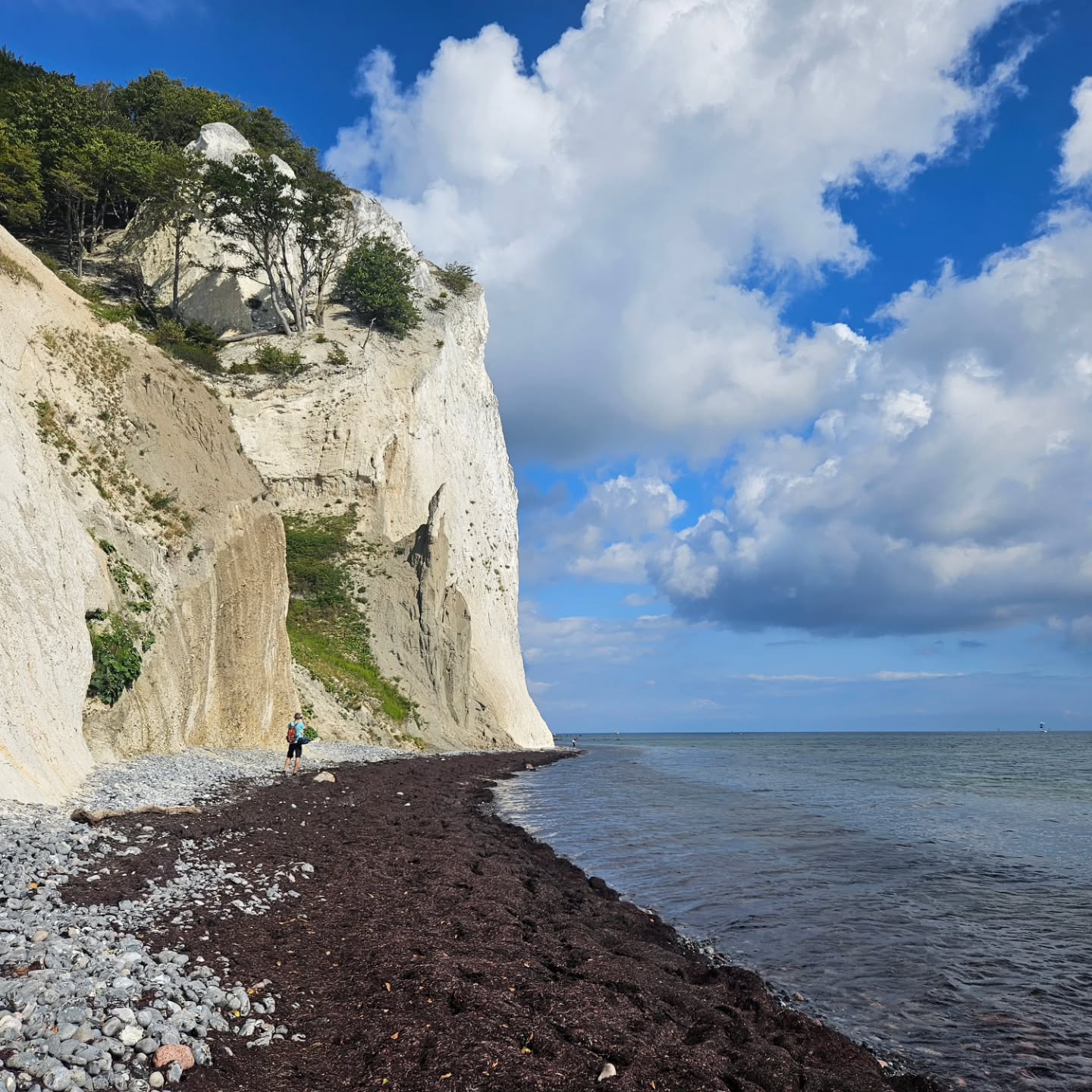 Dreamy Denmark ๐ฉ๐ฐ
There's something special about a country that has it all! Check out our newest blog post for ideas to include on YOUR most epic trip through Denmark.
โ๏ธ Great food, wine, & beer
โ๏ธ Historic museums and sites
โ๏ธ Hiking through troll forests and heather fields
โ๏ธ Constellation viewing
โ๏ธ Amusement park rides
โ๏ธ Blue water and sandy beaches
โ๏ธ The most delicious pastries
.
.
.
.
#traveltheworld #twogirlsgetaway #girlslovetravel