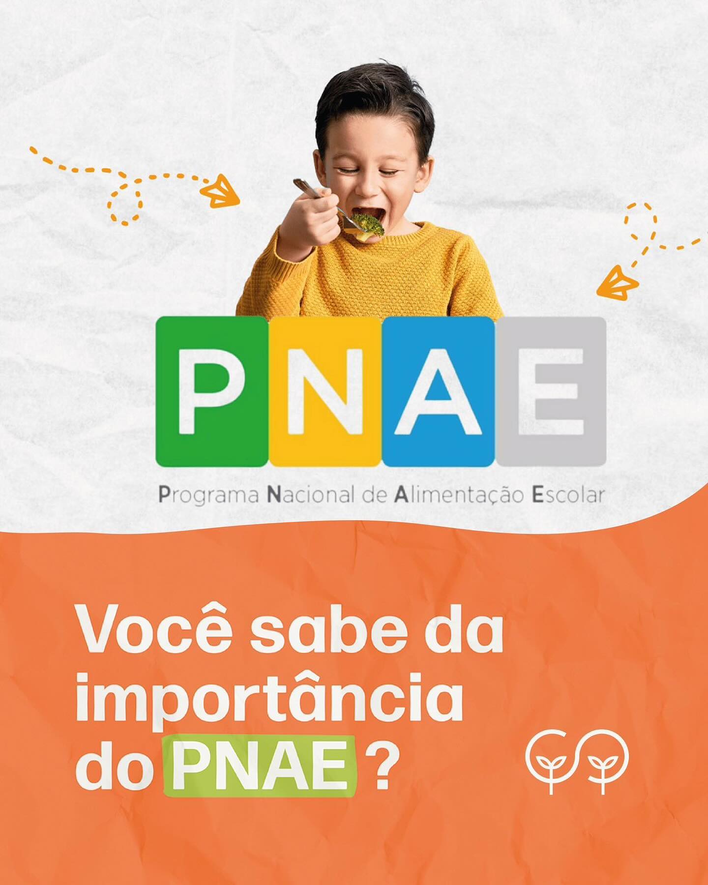 Você já conhecia o PNAE ? 🫘🥬📚 #segurançaalimentar #ccsufrj #ccs #pnae