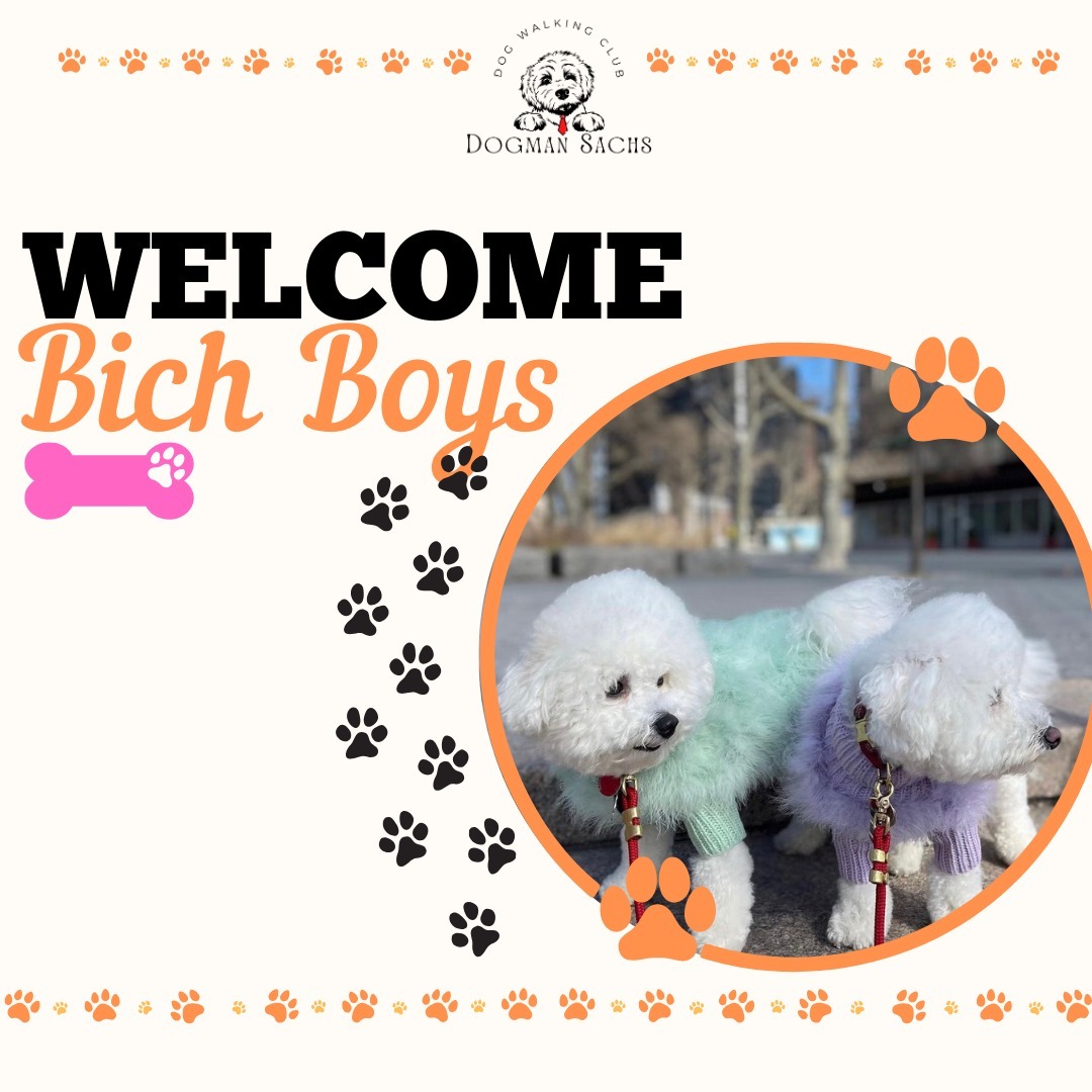 Next up in our introductions ๐
๐ฆด Bich Boys ๐ฆด
Who loves:
๐พ long walks
๐พ matching clothes
๐พ belly rubs