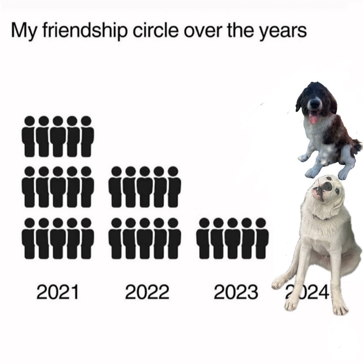 TFW When you get two puppies in two months.