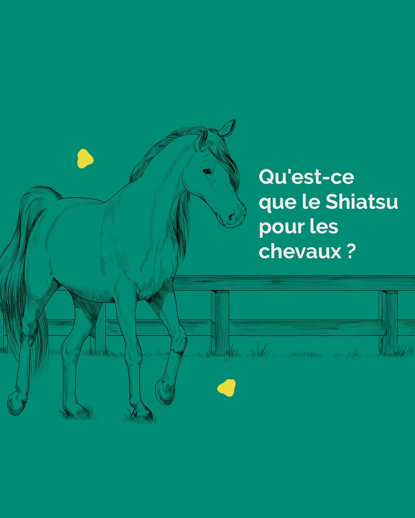 Vous êtes-vous déjà demandé quels sont les bienfaits du shiatsu pour les chevaux ? ✨
Beaucoup de gens me posent cette question, c’est pourquoi j’ai créé ce post. ?
Qu’en pensez-vous ? L’un d’entre eux a-t-il retenu votre attention ? ??
.
.
.
#geneva #geneve #communicationanimale #animaux #shiatsu #animauxdomestiques #suisse #genevaswitzerland #geneve?? #shiatsuanimaux